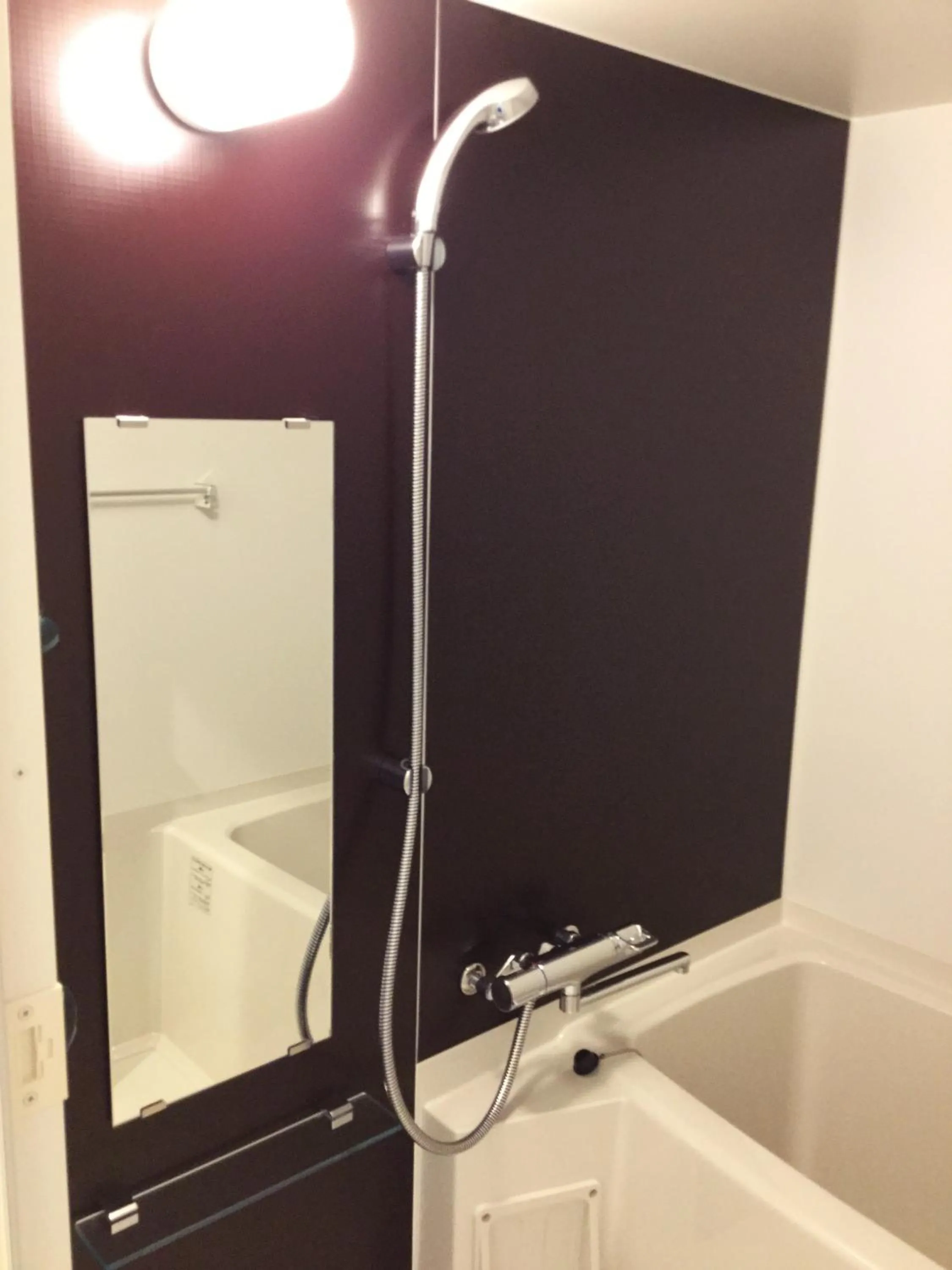 Bathroom in Mr. Kinjo in Makishi