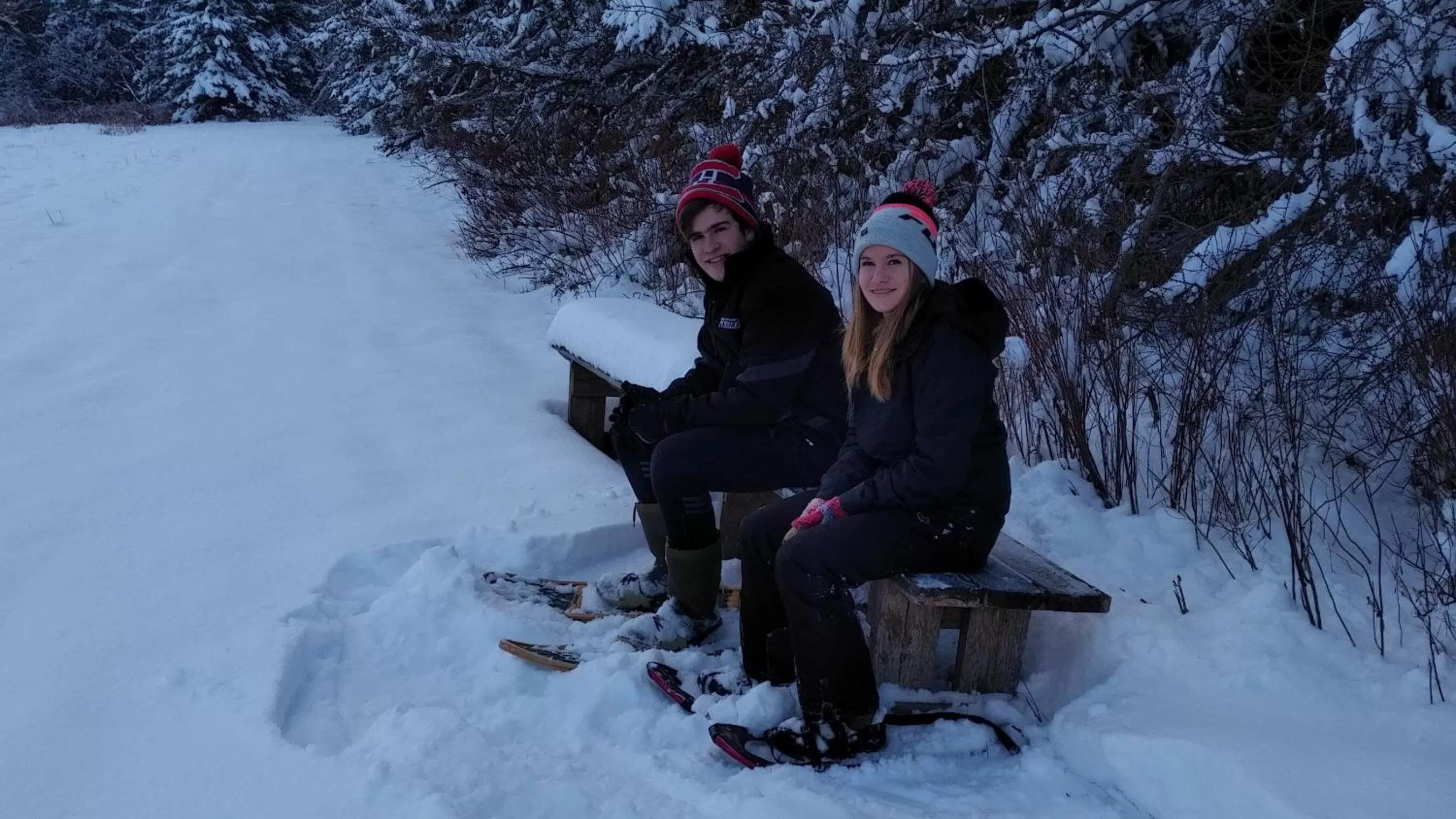 Natural landscape in Amherst Shore Country Inn