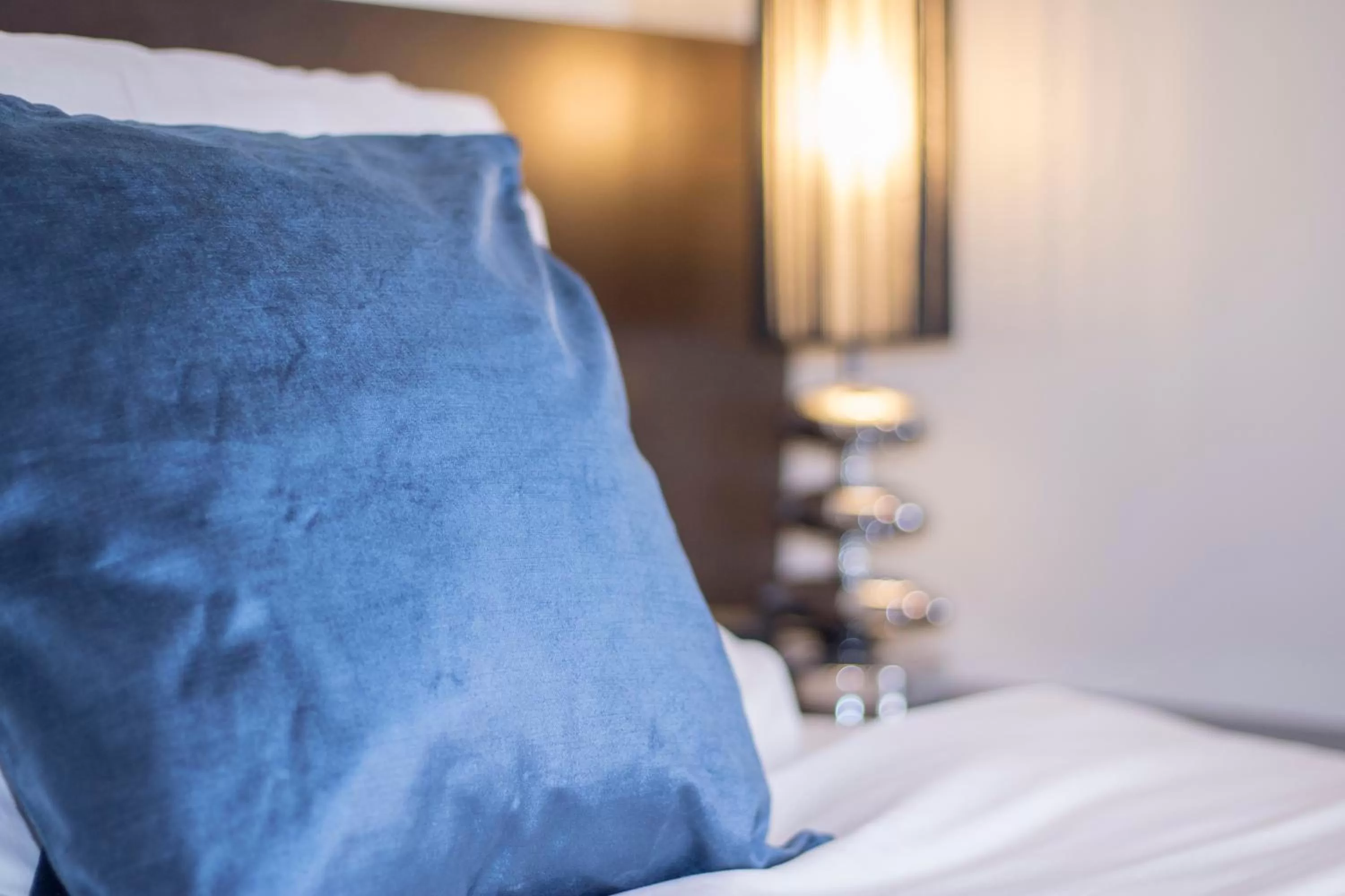 Bed in Hotel Waterloo & Backpackers