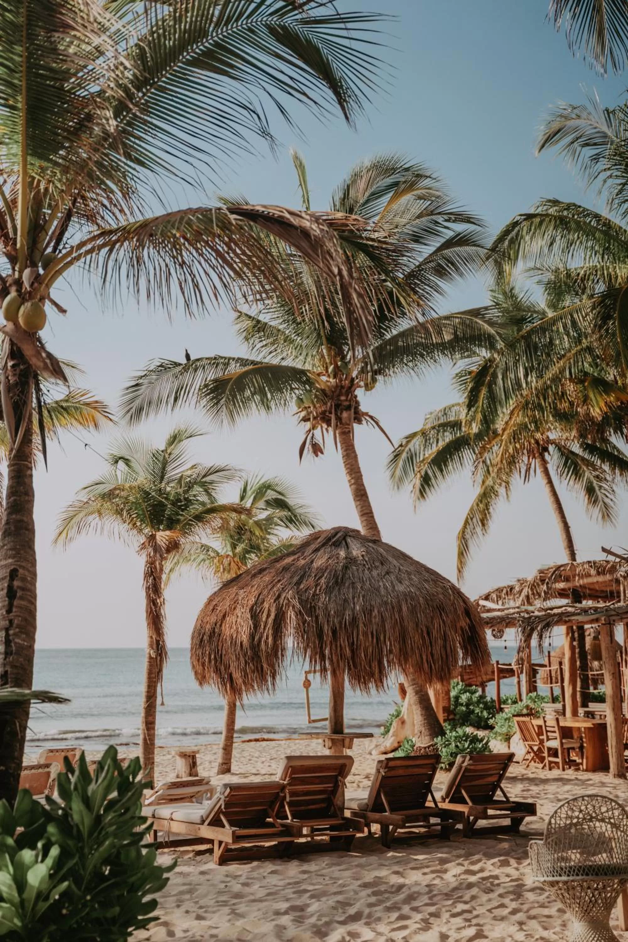 Beach in Petit Lafitte Beach Front Hotel & Bungalows