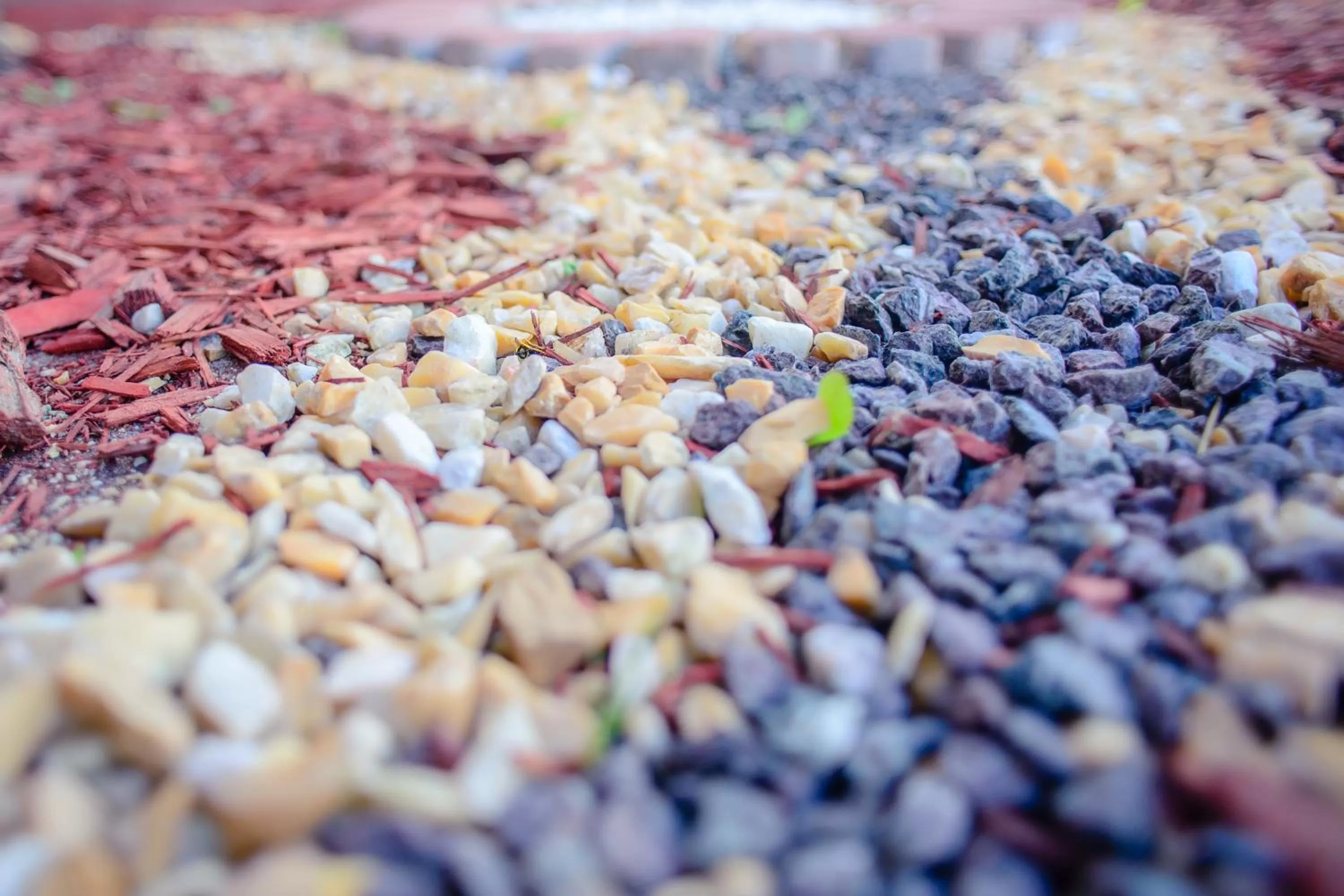 Text overlay in Petrovskyi Brovar