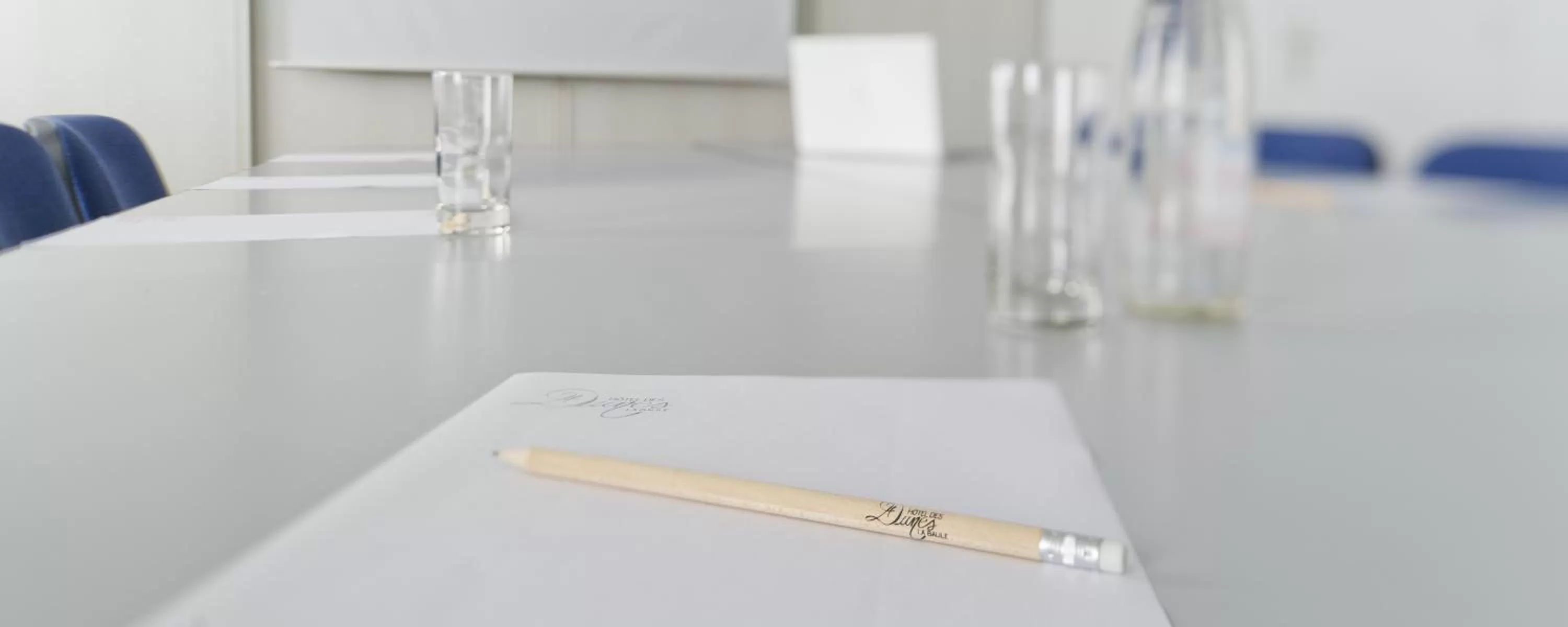 Business facilities in Hotel Des Dunes