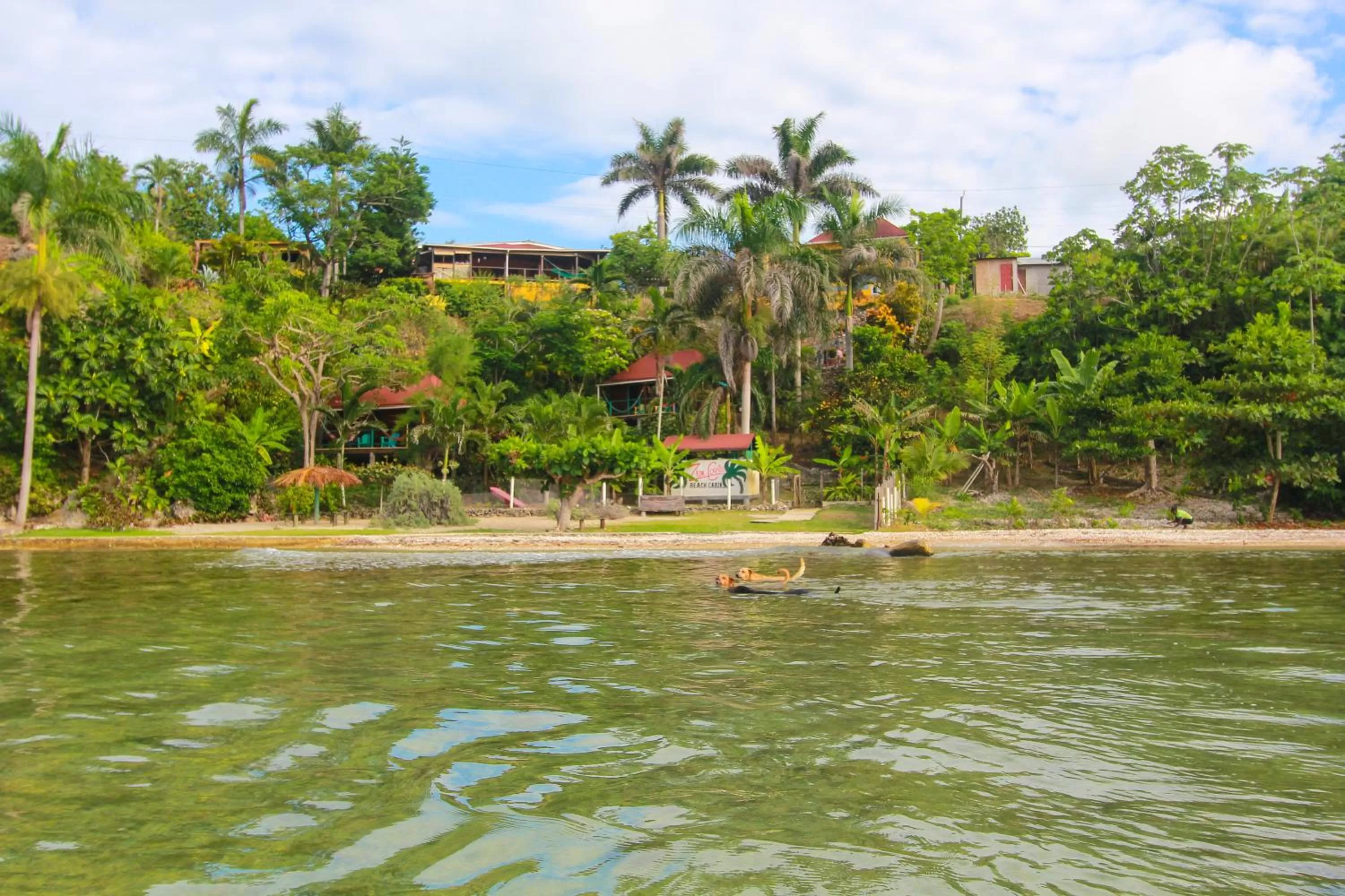 Bird's eye view in Zion Country