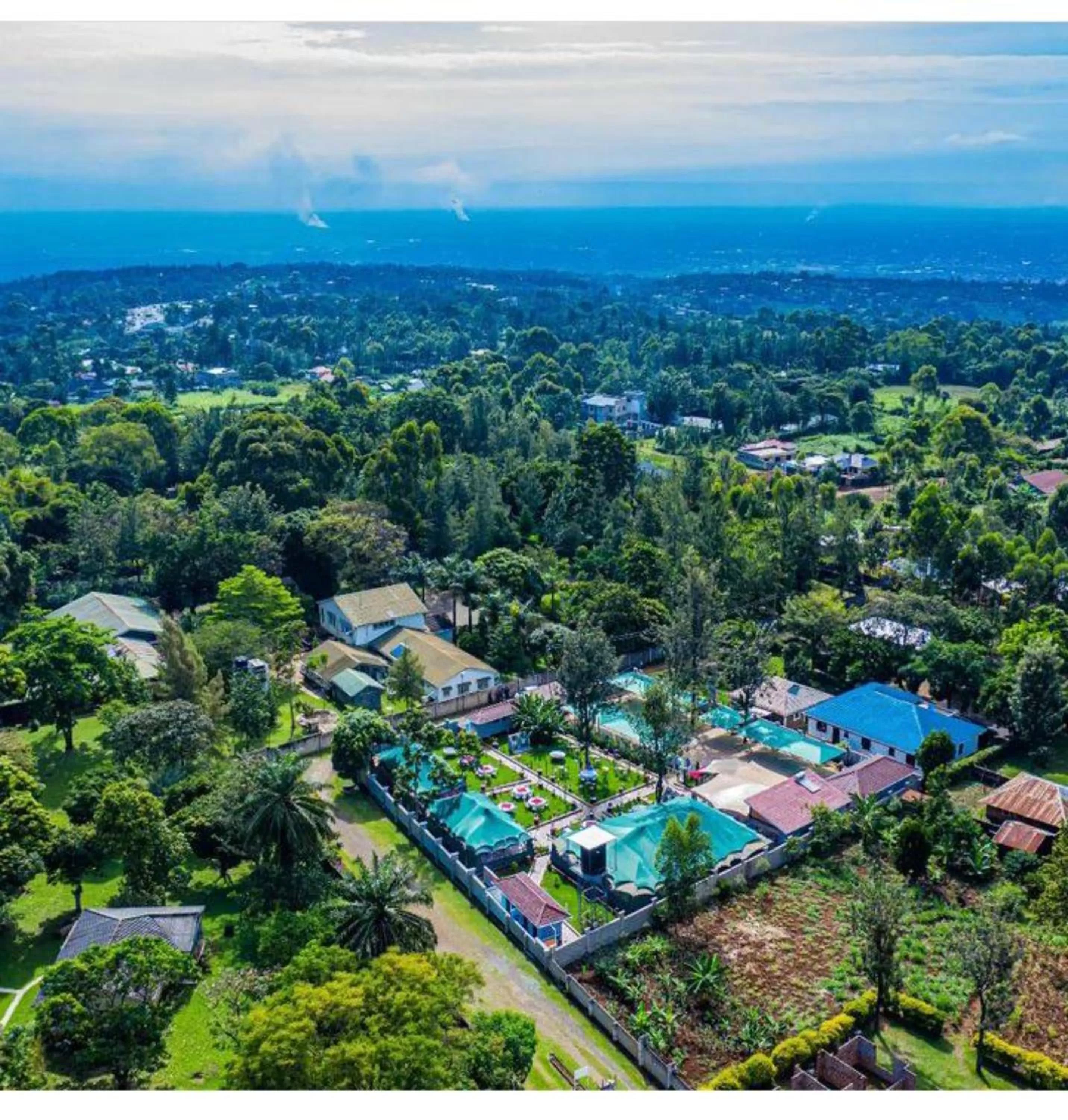Bird's eye view in Lovely Garden Guest Home