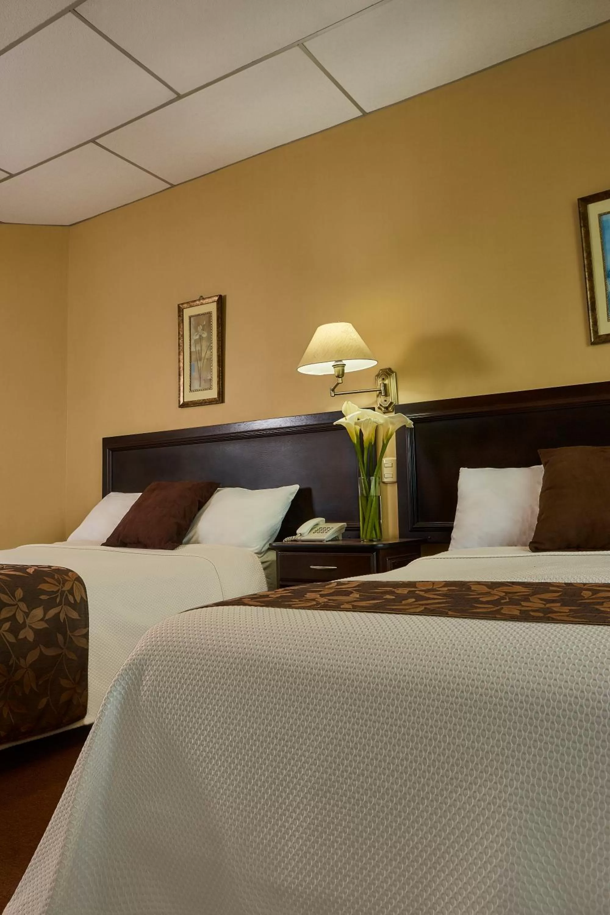 Photo of the whole room, Bed in Hotel Podocarpus