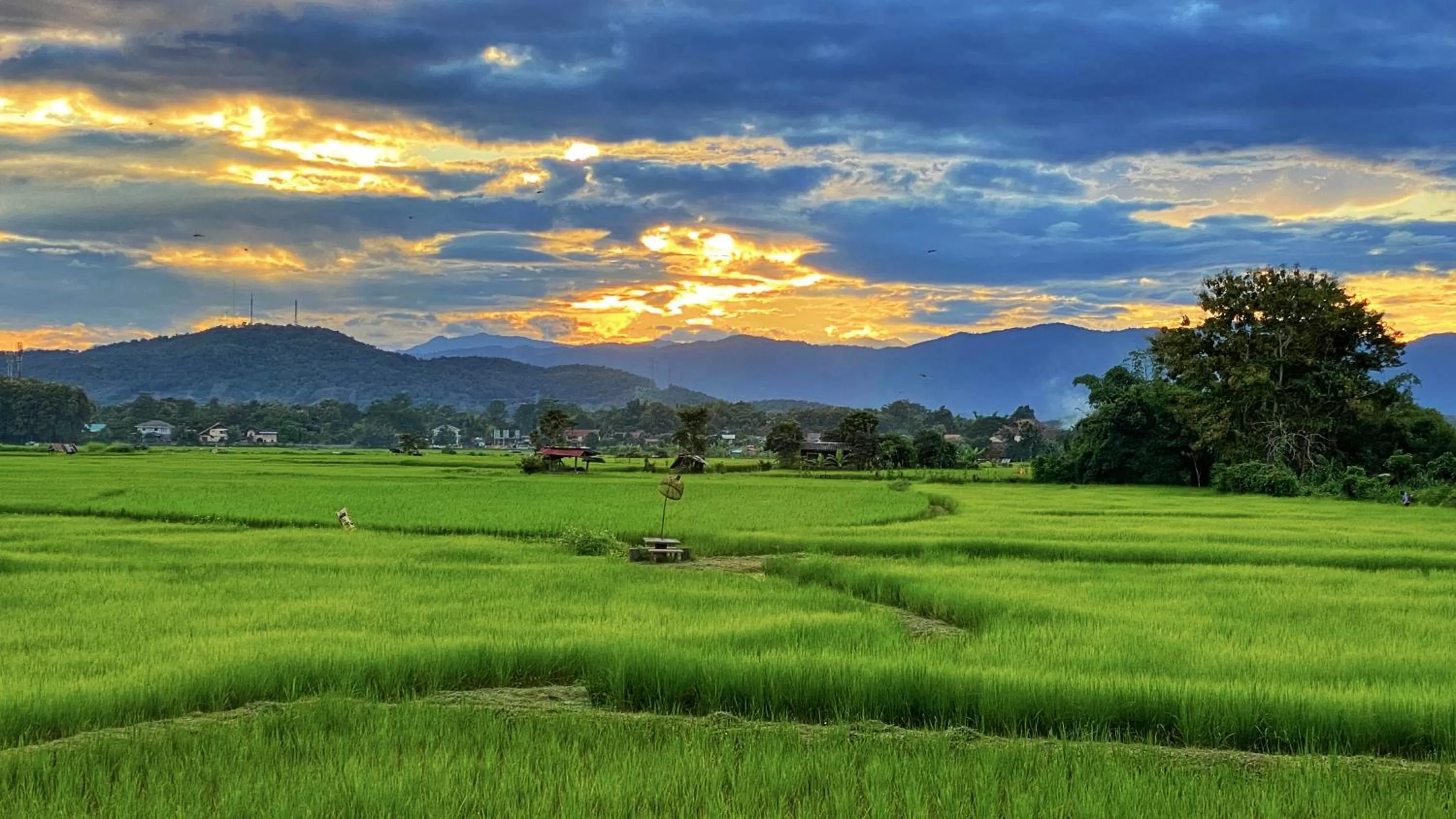 Mountain view in Nan Seasons Boutique Resort