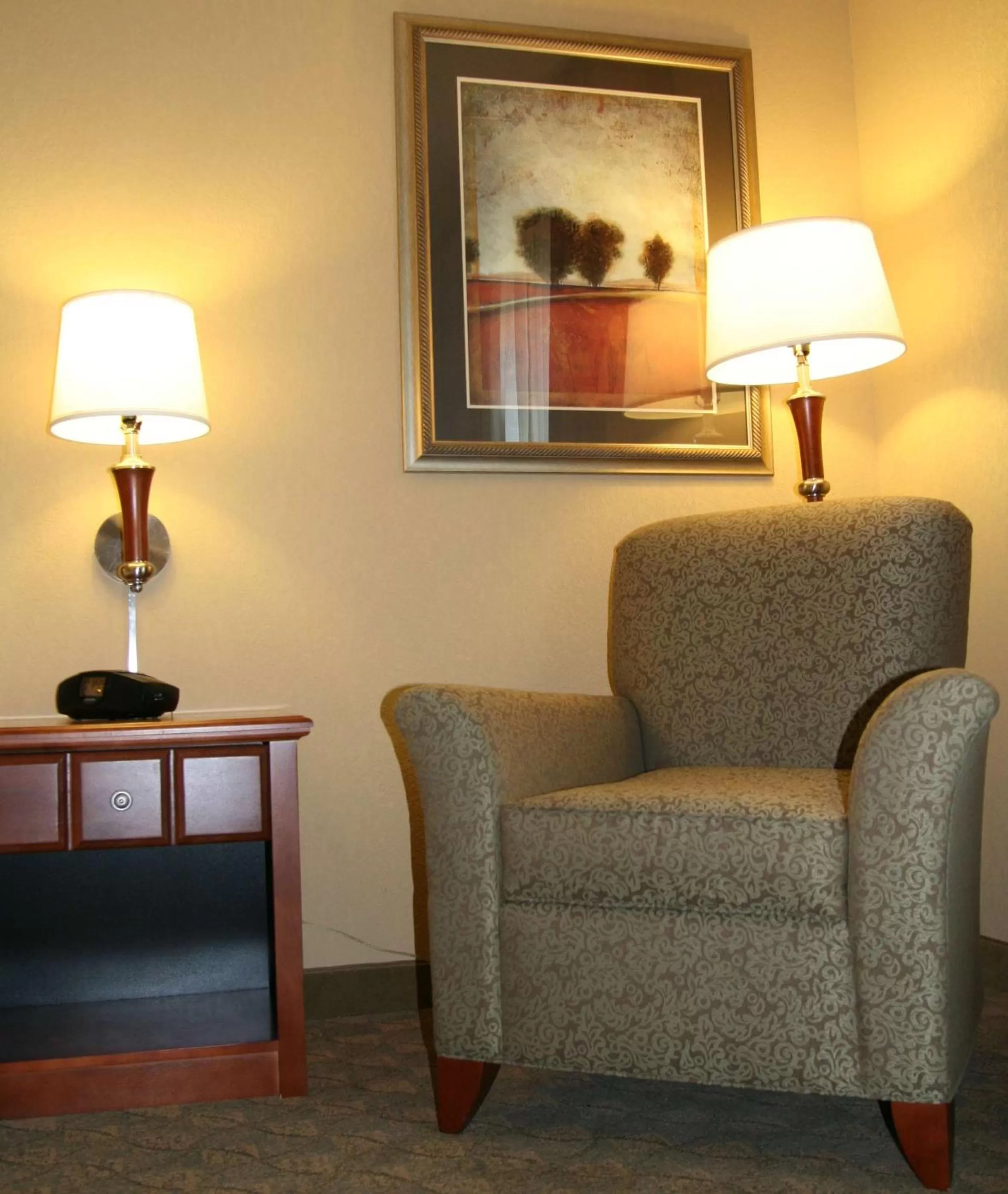 Living room in Hampton Inn & Suites Paducah