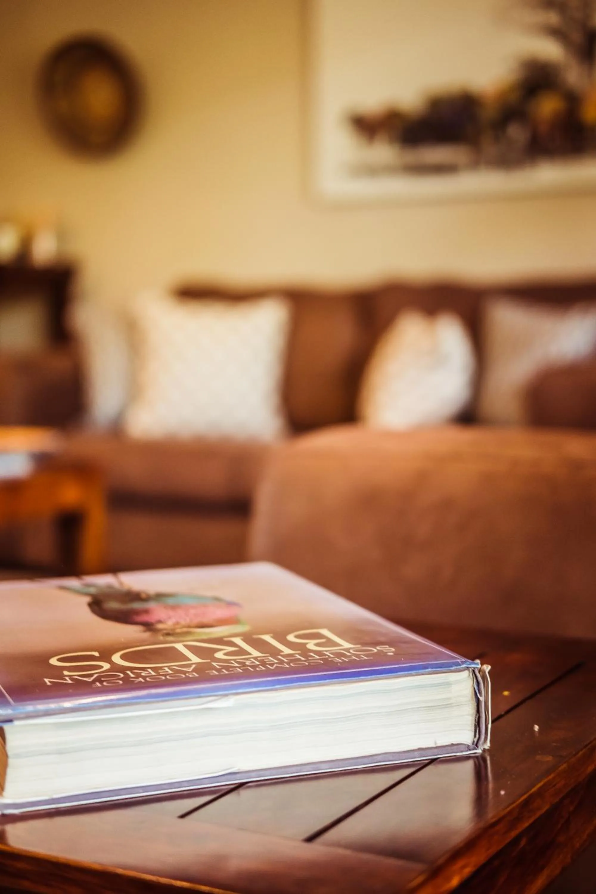 Communal lounge/ TV room in Bushveld Terrace Safari Hotel, Lodge & Spa