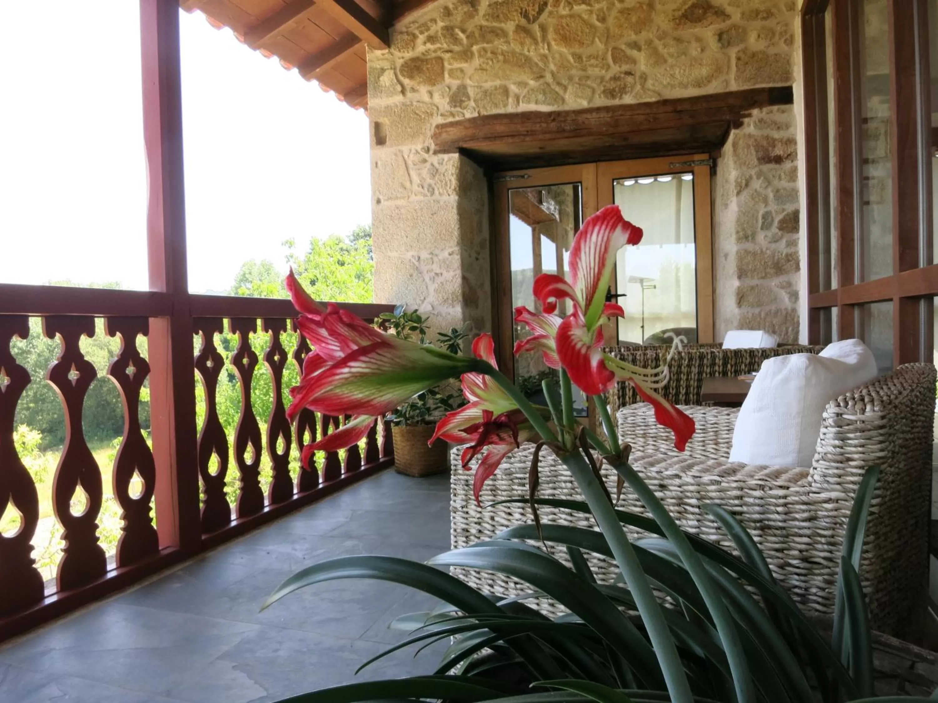 View (from property/room) in Rectoral de Anllo