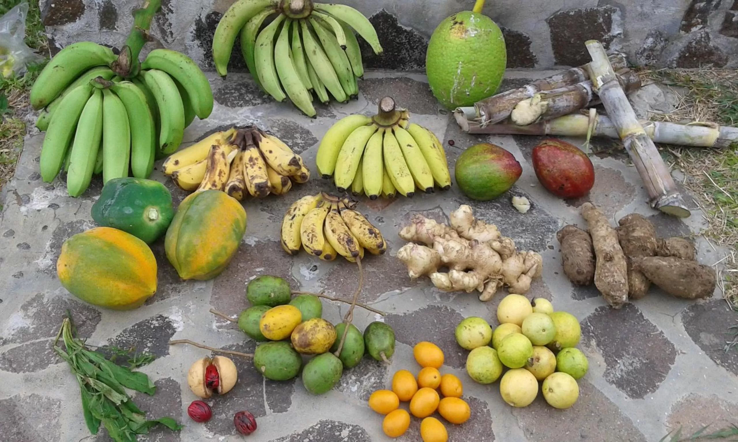 Food in The Milligan