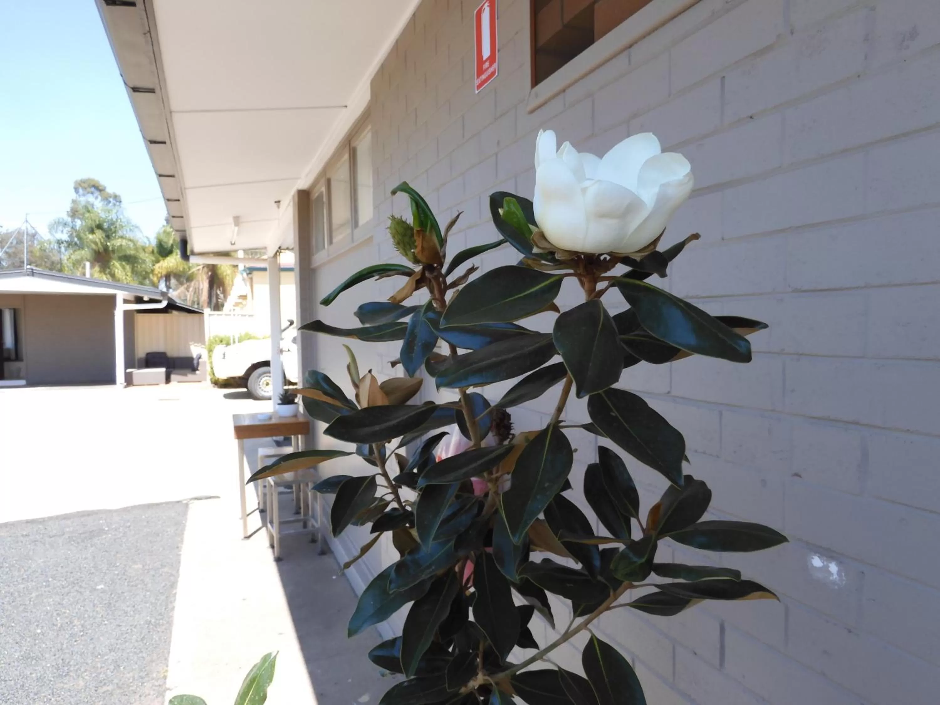 Facade/entrance in Dalby Parkview Motel