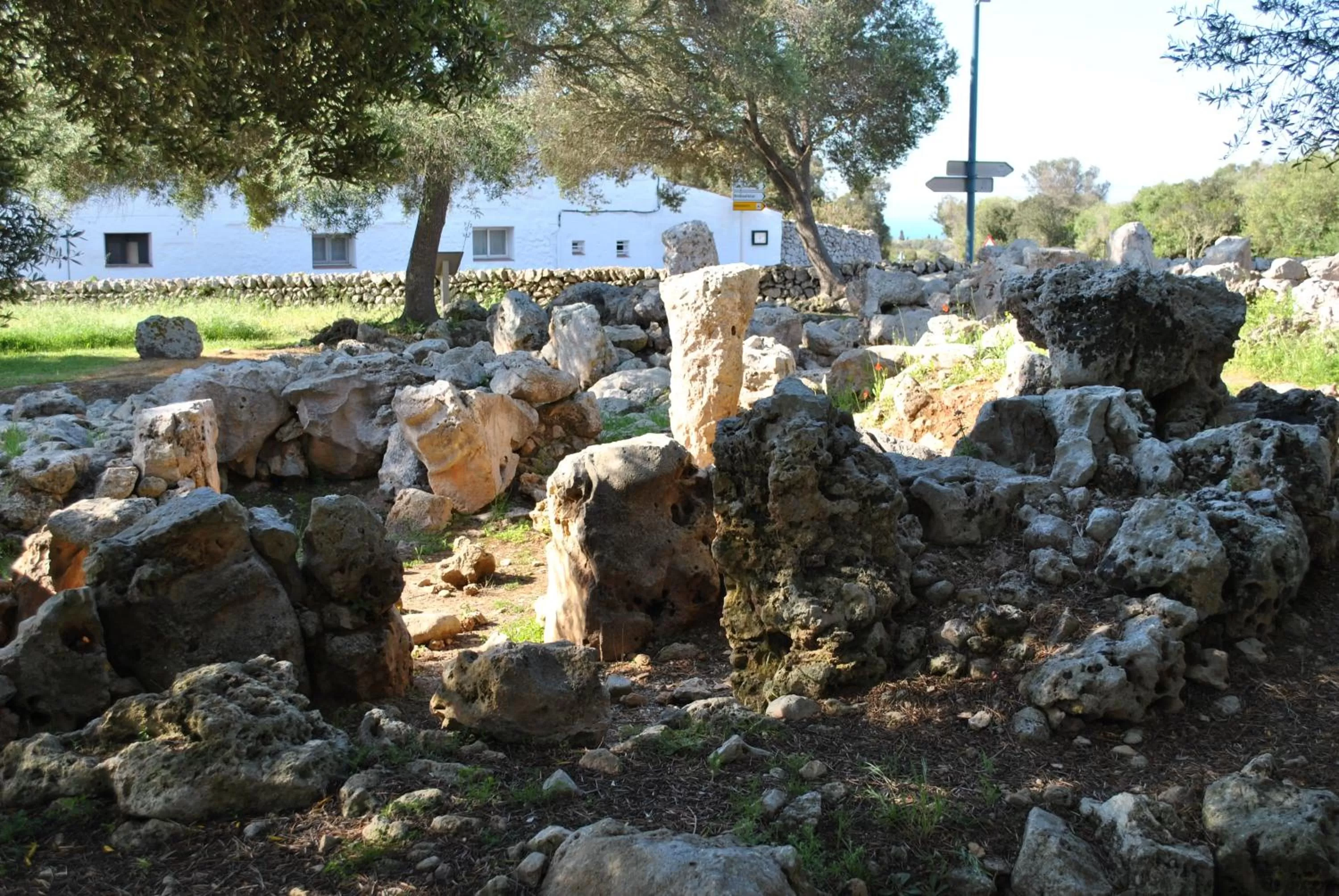 Activities in Agroturismo Binissafullet Vell