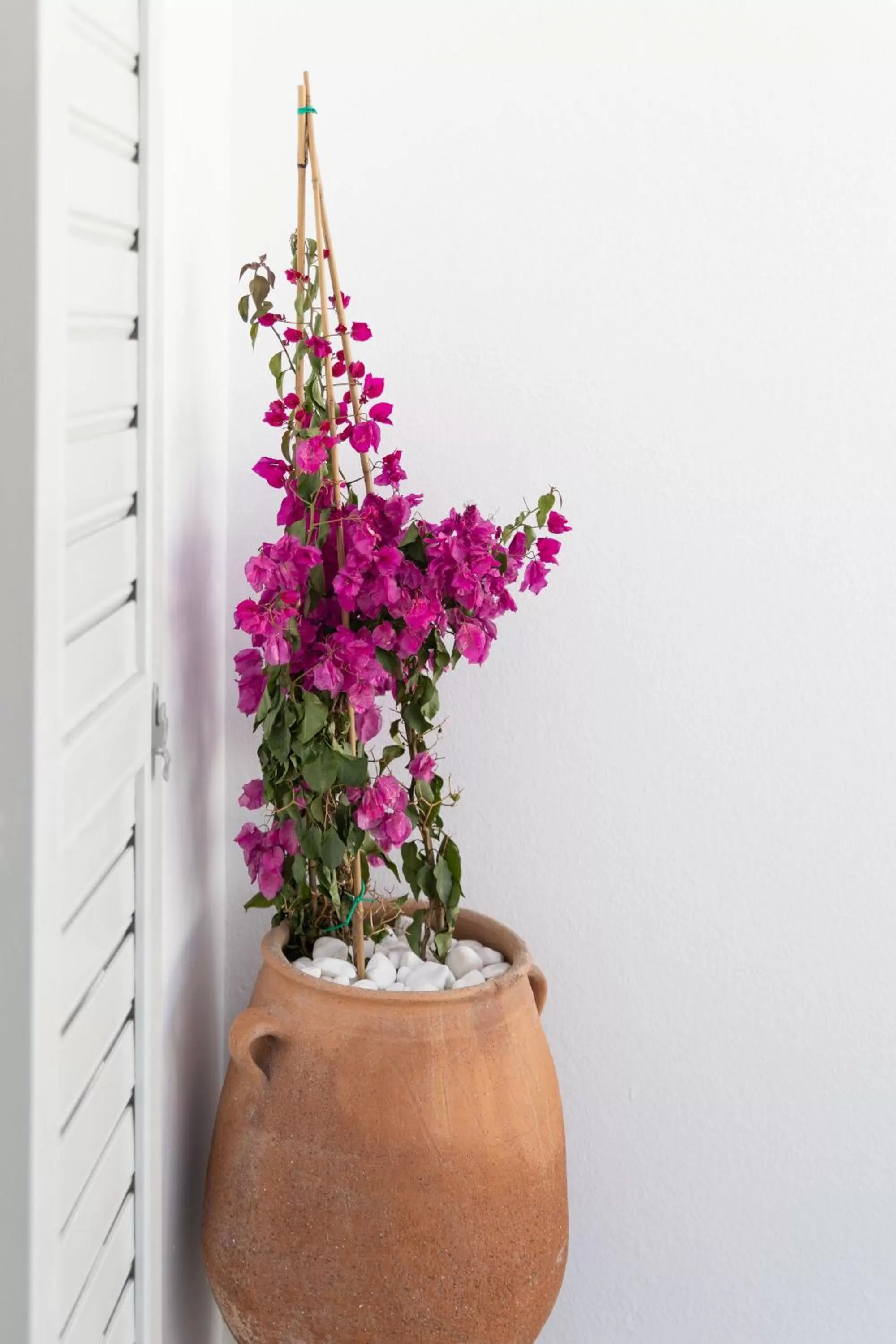 Decorative detail in Elena Hotel Mykonos