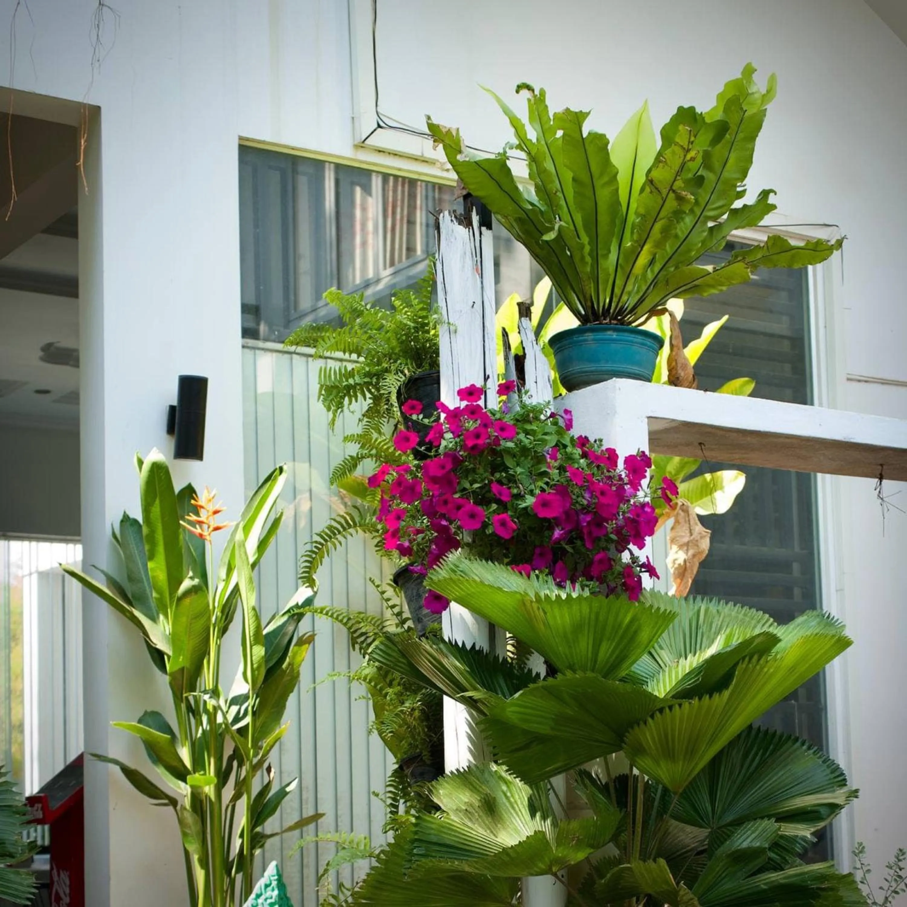 Property building in Vimean Sovannaphoum Resort