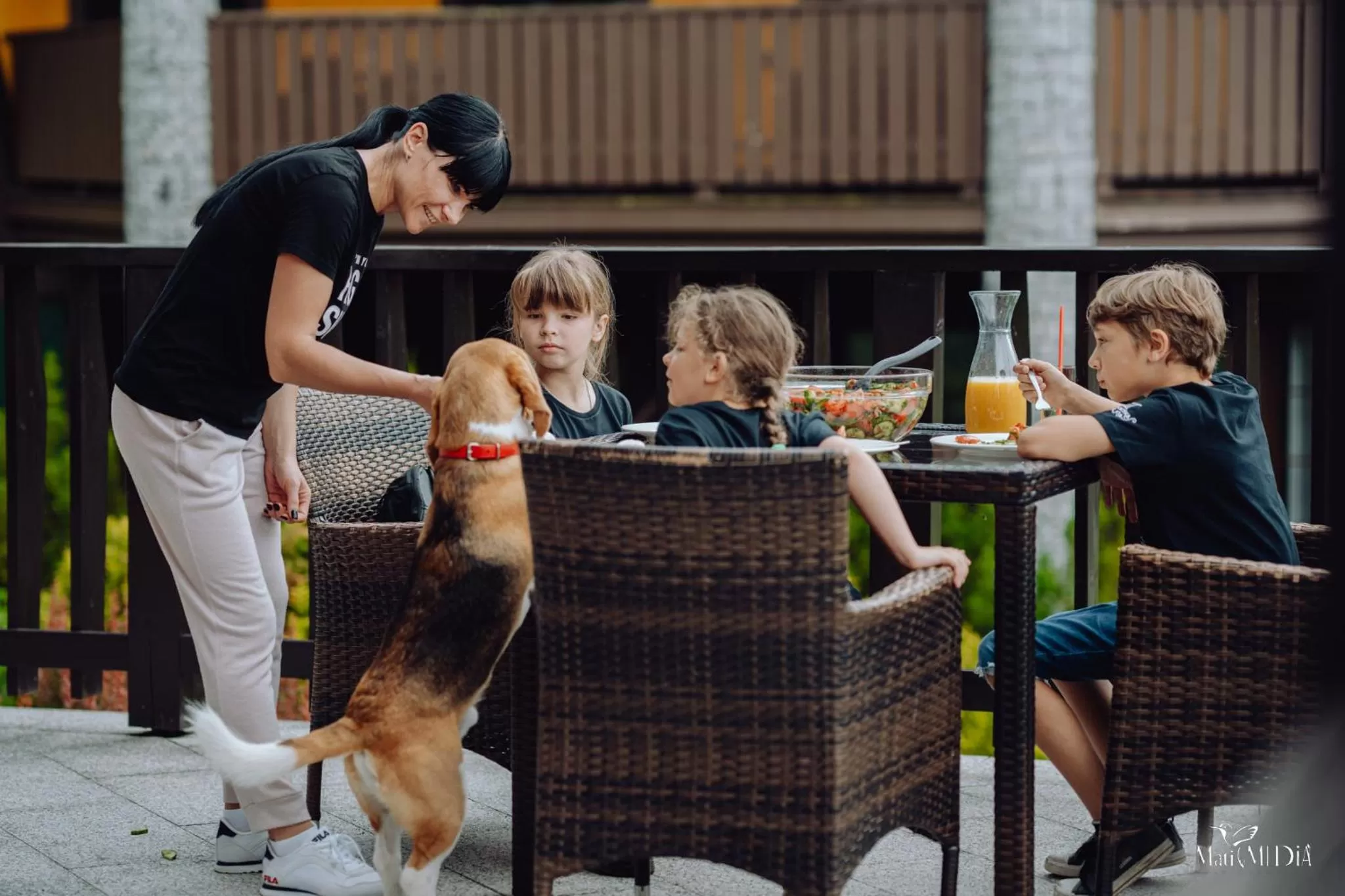 Bird's eye view in Norweska Dolina Family&Pet-friendly Resort