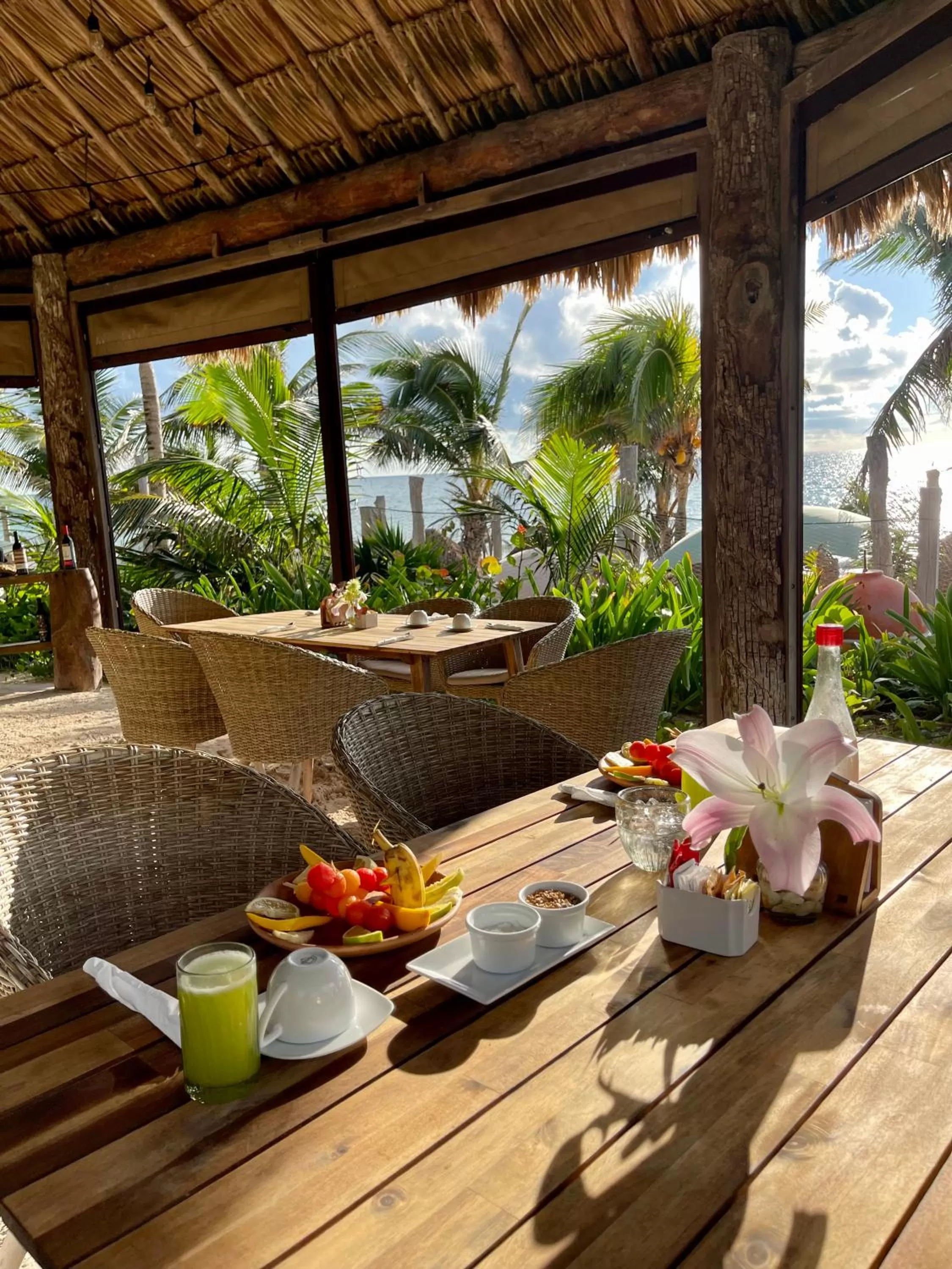 Restaurant/places to eat in Sueños Tulum