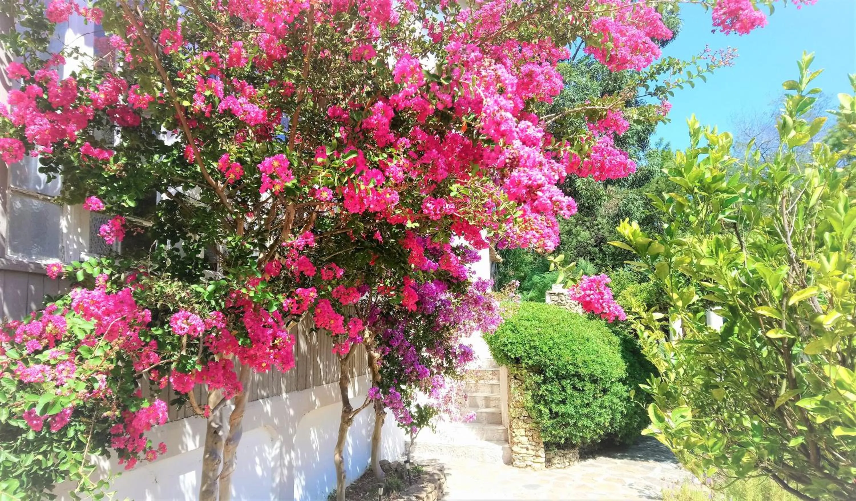 Garden in Les Jardins de Bormes, hôtel adult only avec sauna & jacuzzi