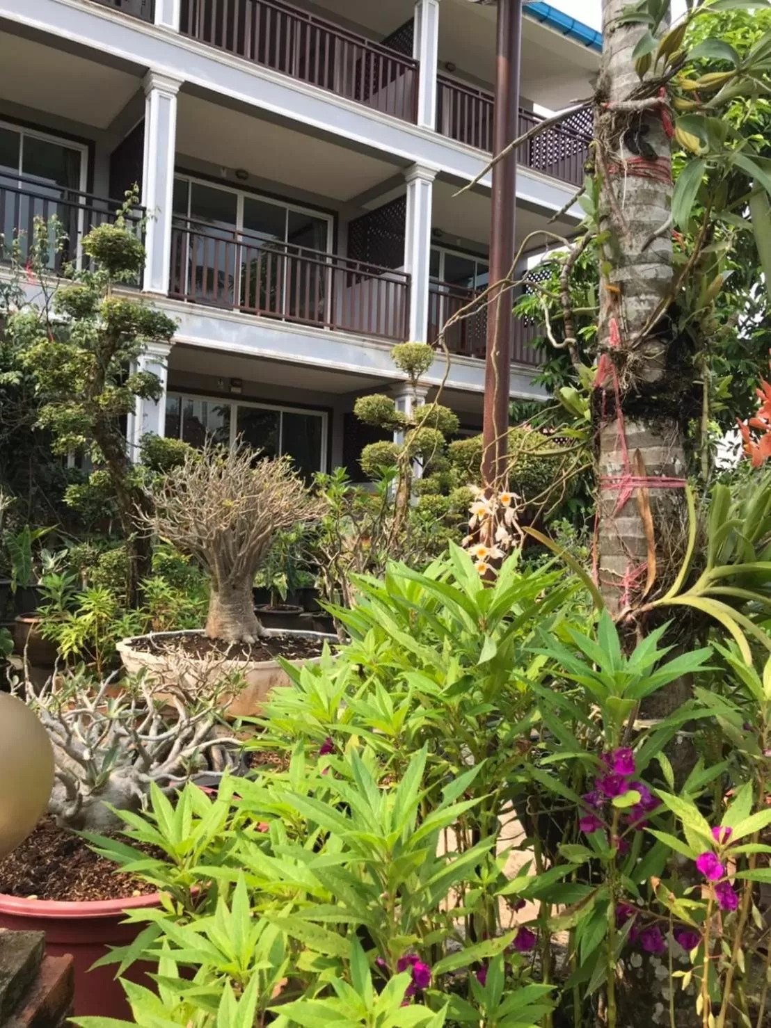 Property Building in Pratum Resort