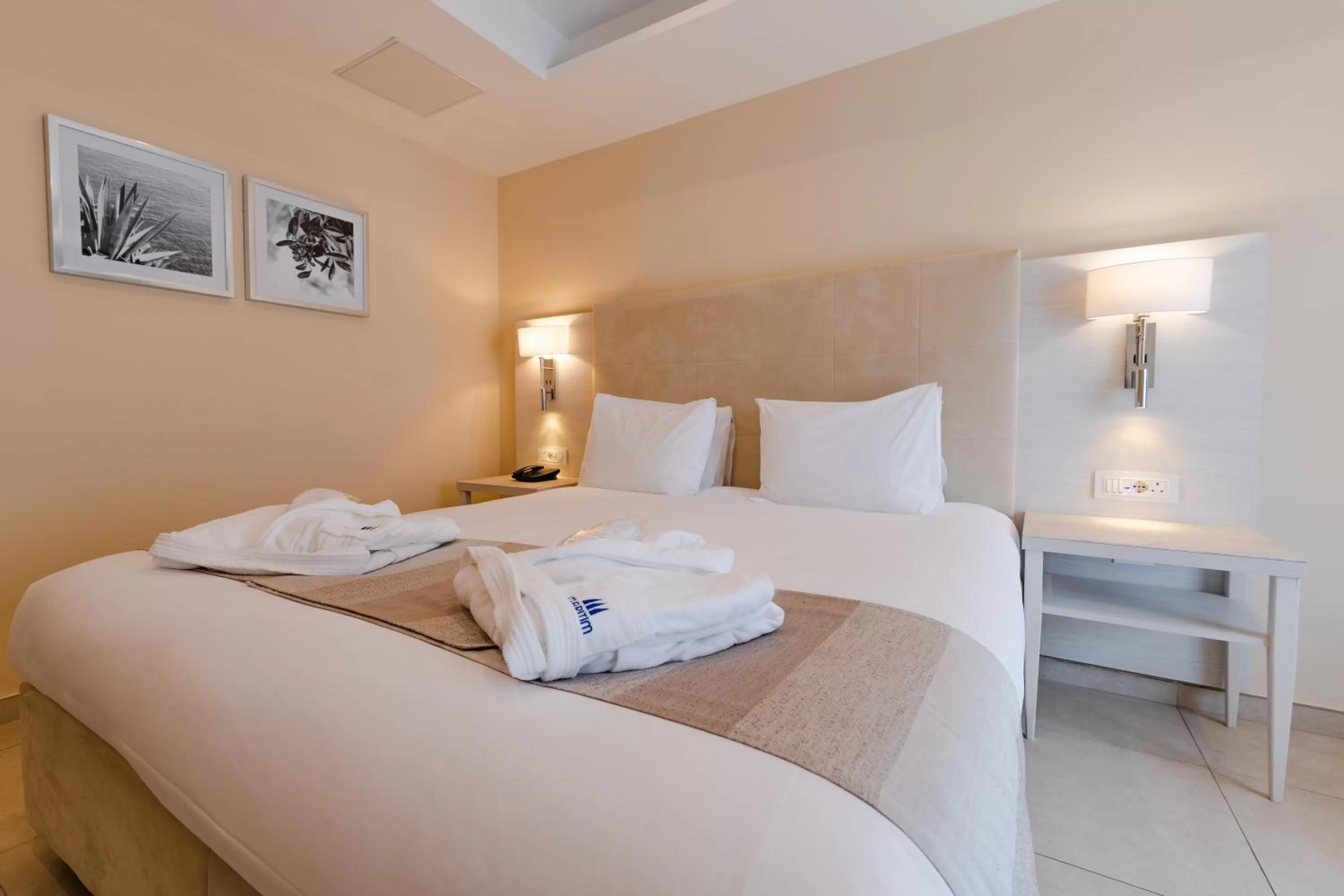 Deluxe Double or Twin Room with Balcony in Maritim Antonine Hotel & Spa