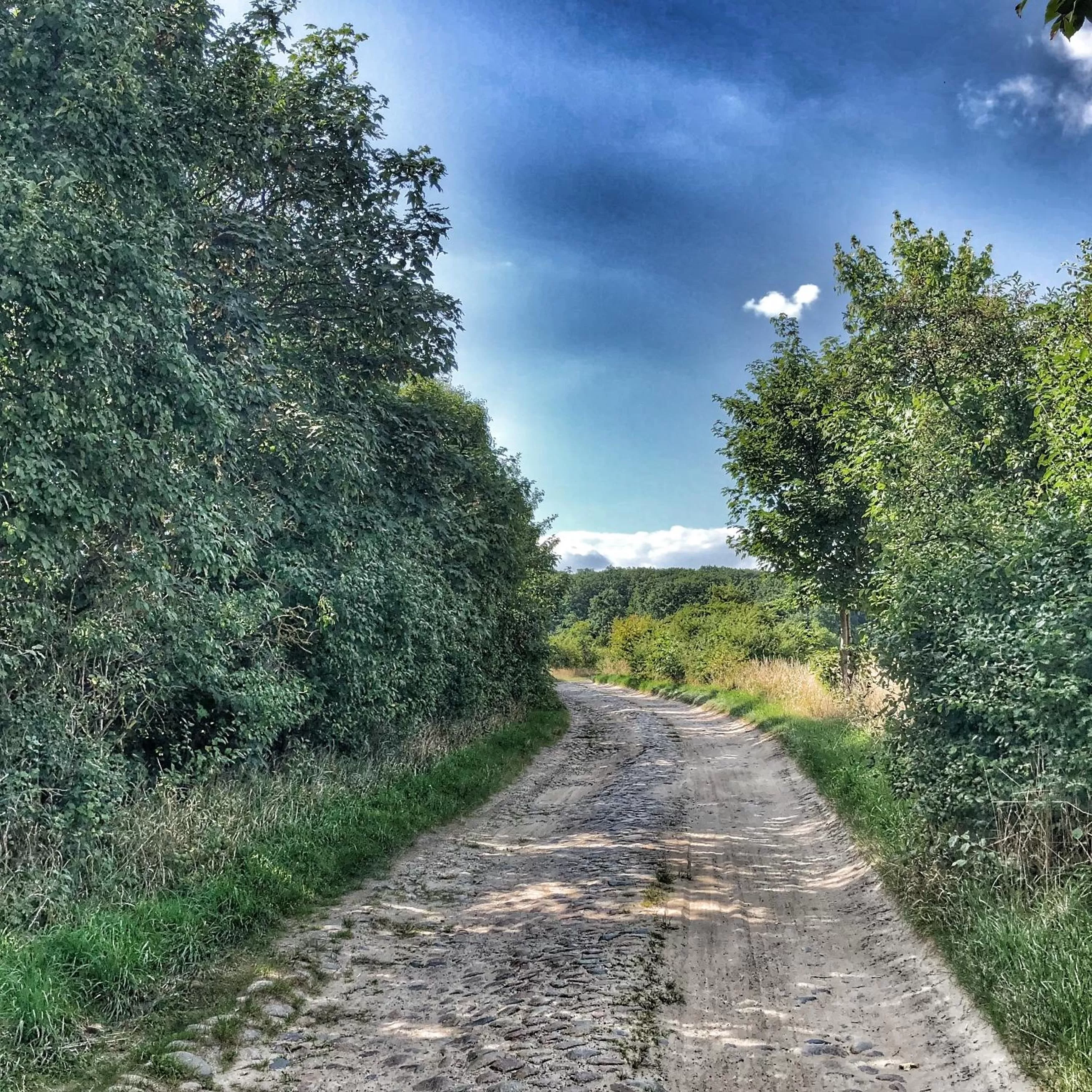 Natural landscape in Riverside Inn