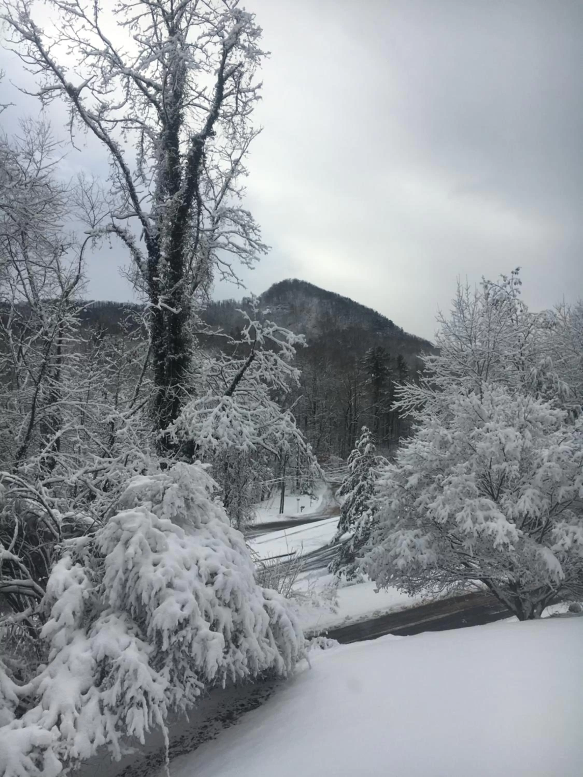 Winter in Grafton Lodge