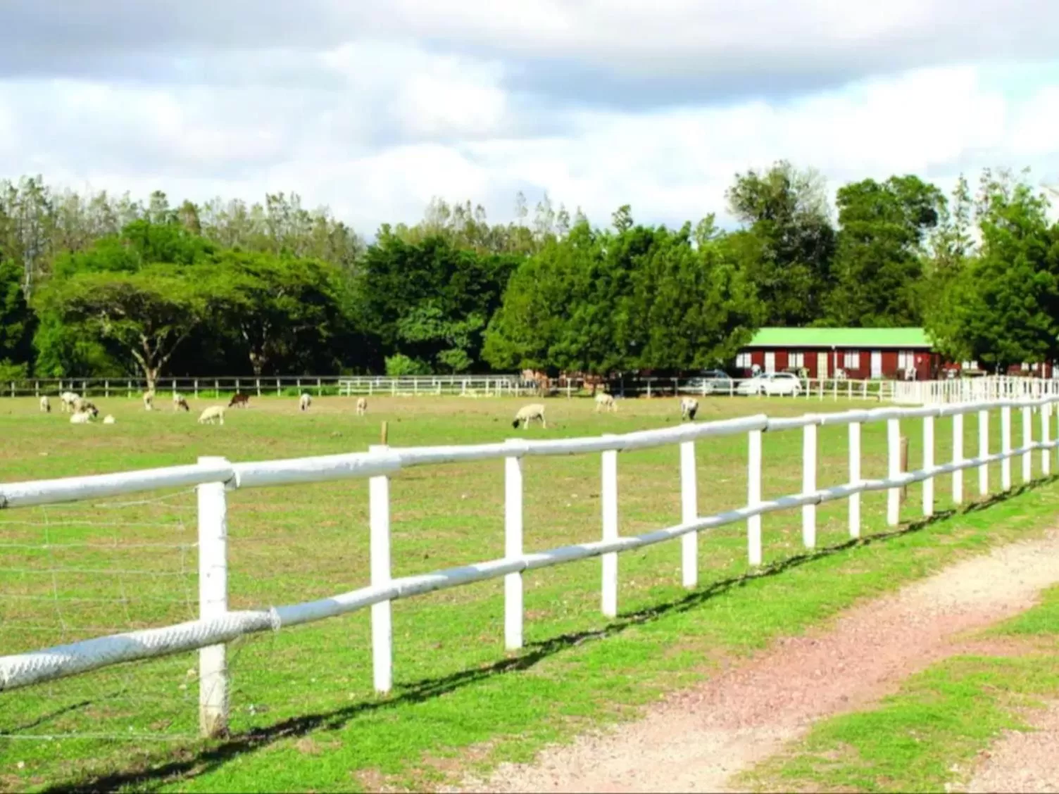 Garden in Blue Mountain Farm Lodge, Cabins & Cottages