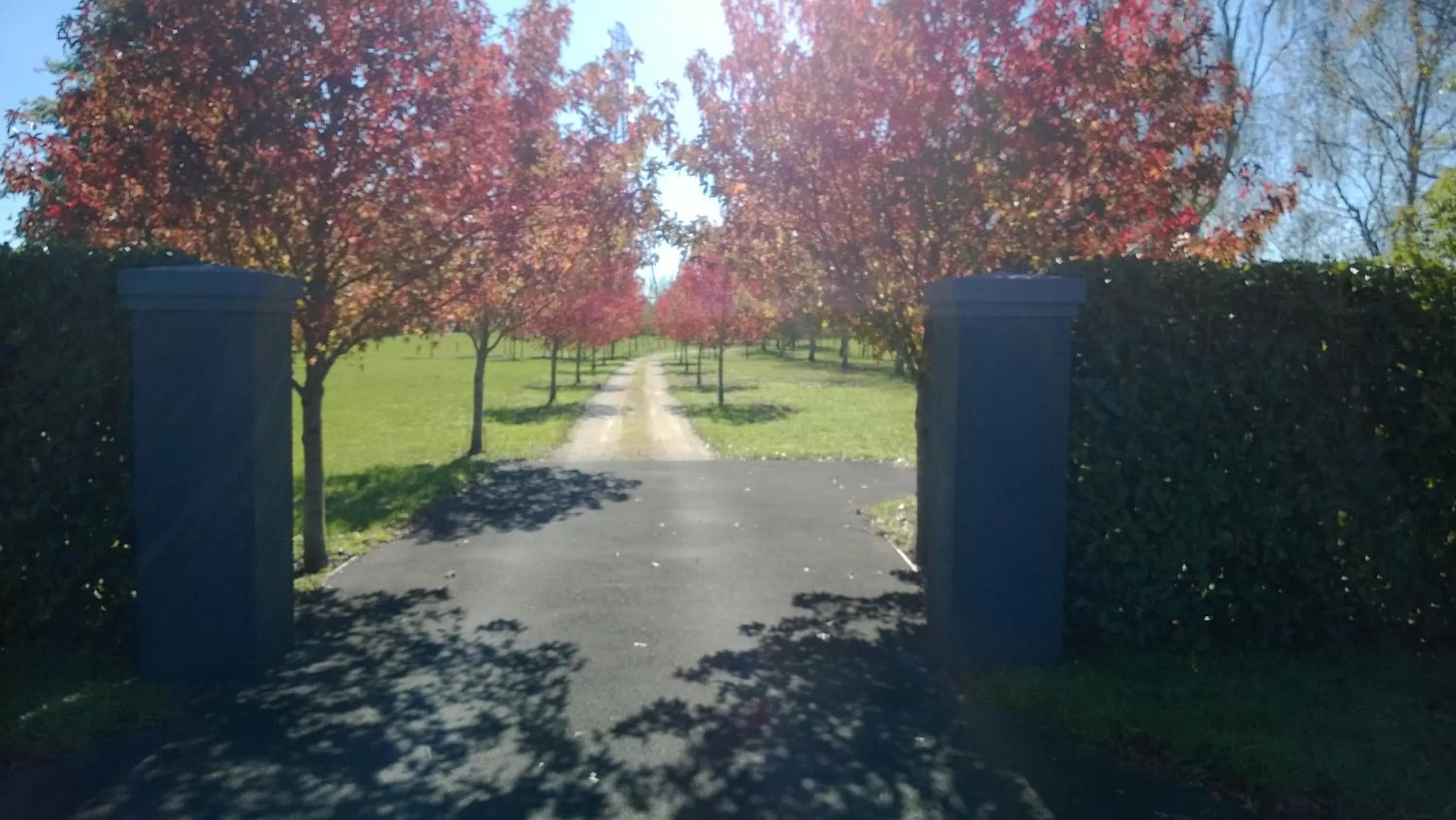 Street view, Garden in Korbaylen Estate