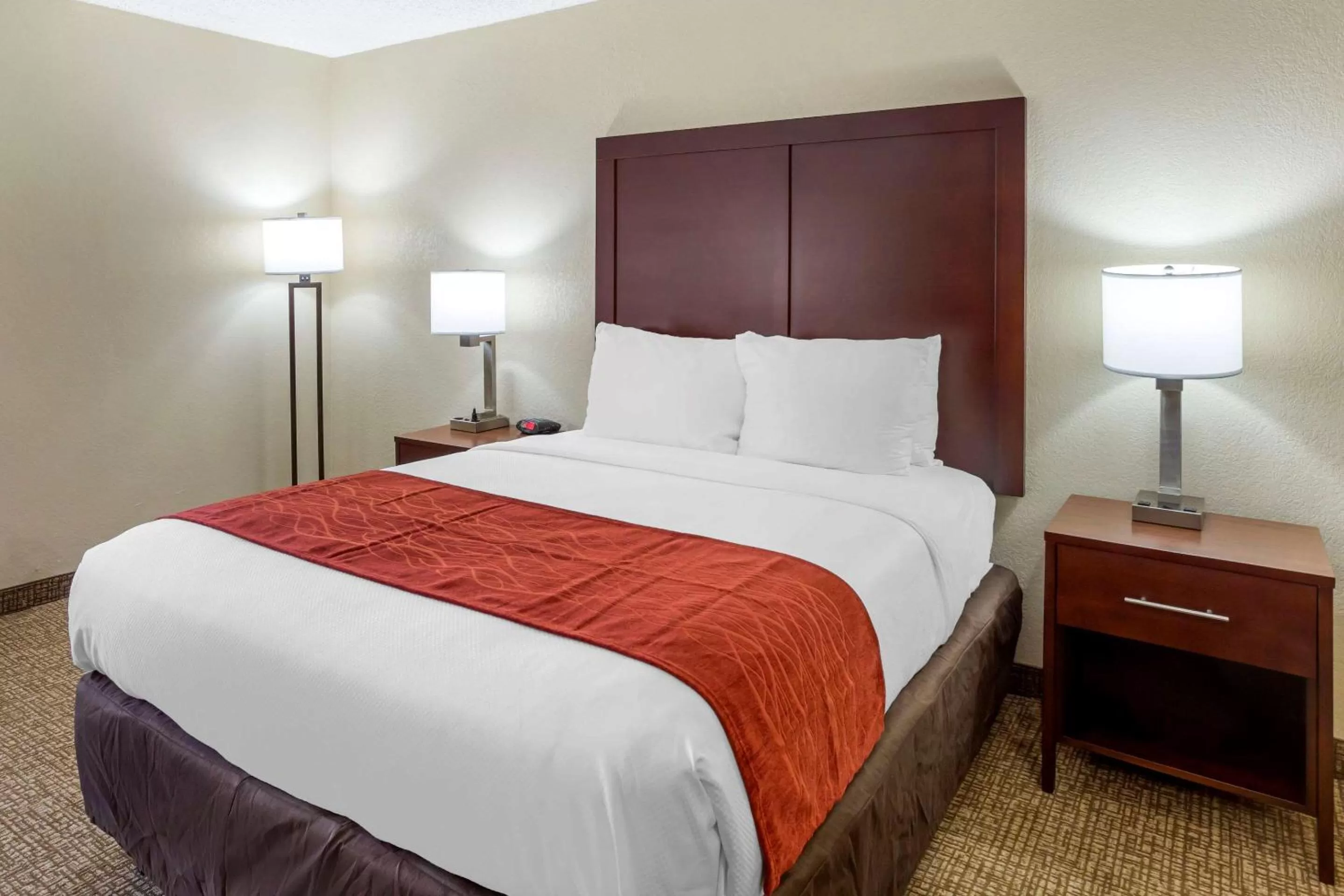 Queen Room with Roll-In Shower - Accessible/Non-Smoking in Comfort Inn Hoffman Estates – Schaumburg