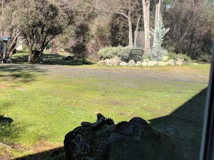 Bedroom in Yosemite Nights Bed & Breakfast
