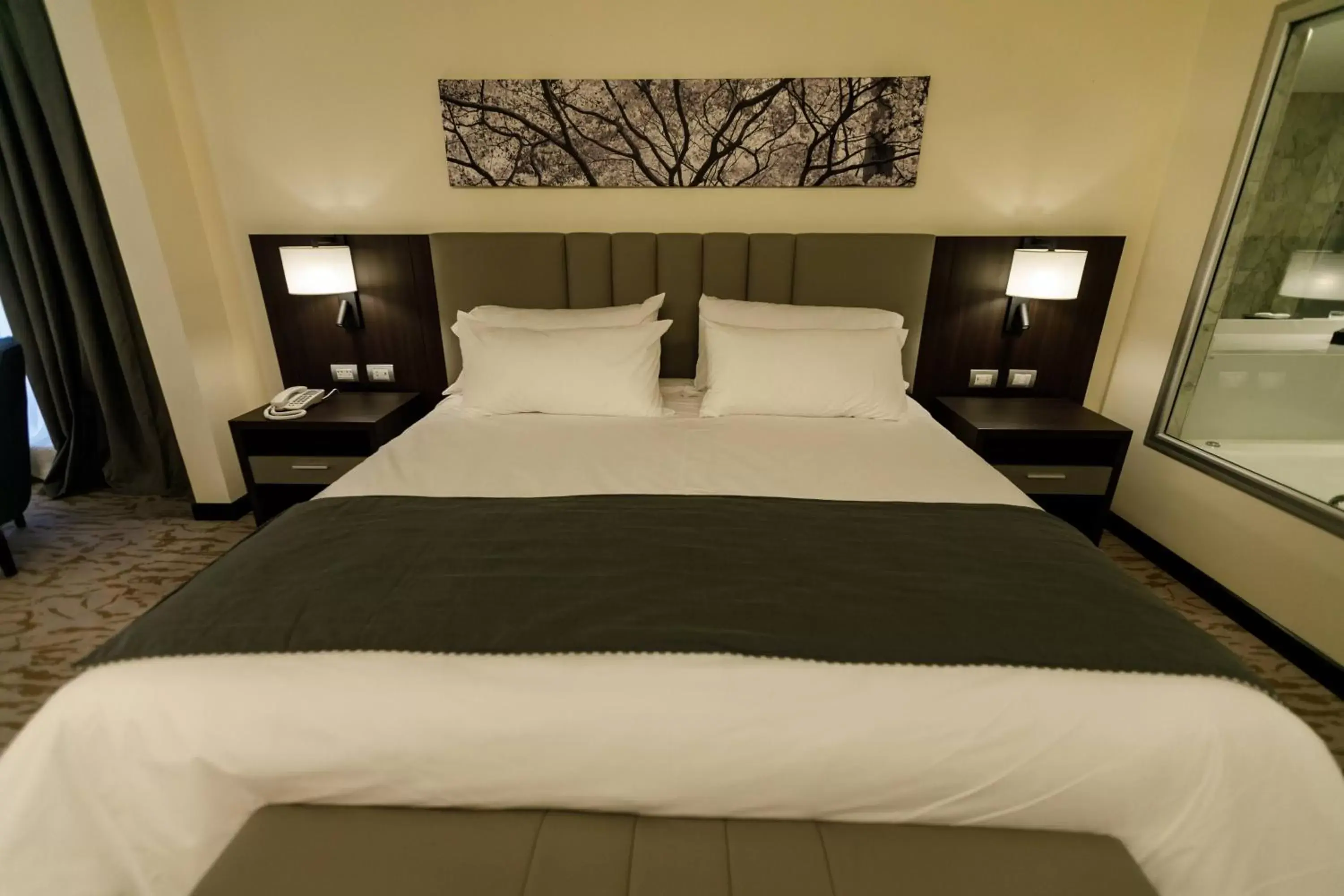 King Room in Hilton Garden Inn Santiago Del Estero - HILTON HOTELS King Room in Hilton Garden Inn Santiago Del Estero - HILTON HOTELS