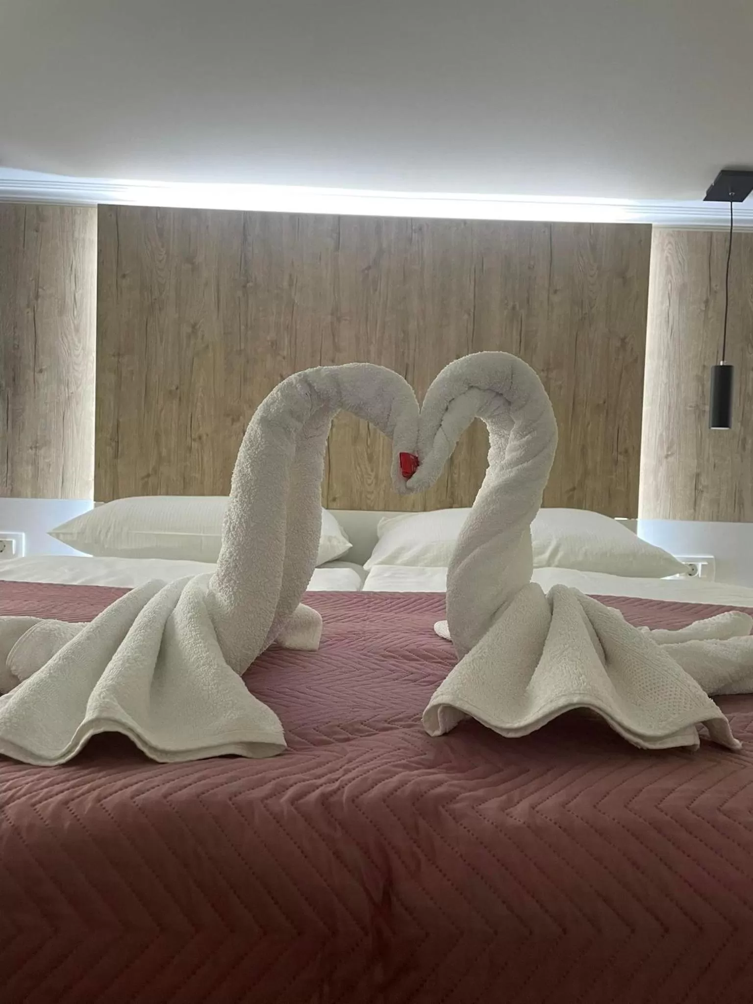 Bed in Hotel - Villa Lejla