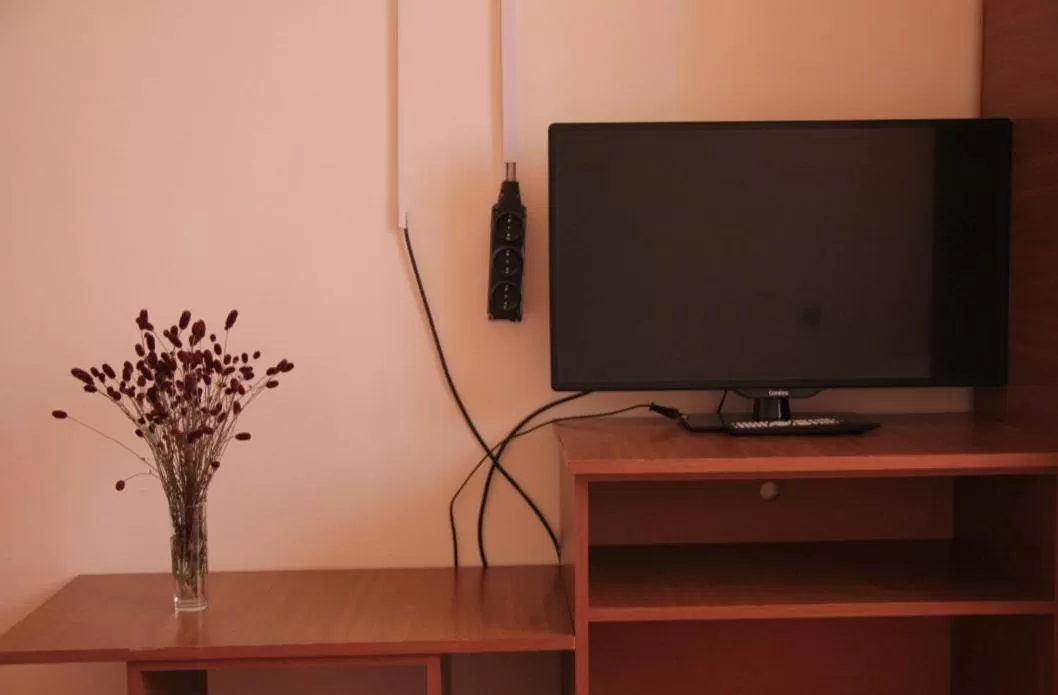 Communal lounge/ TV room, TV/Entertainment Center in Tsalka