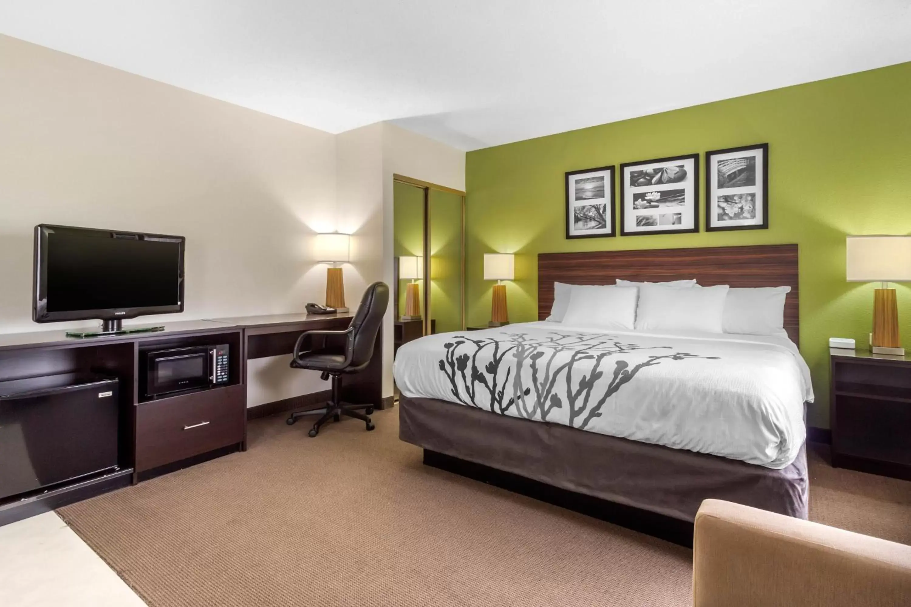 King Suite - Non-Smoking in Sleep Inn & Suites Allendale King Suite - Non-Smoking in Sleep Inn & Suites Allendale