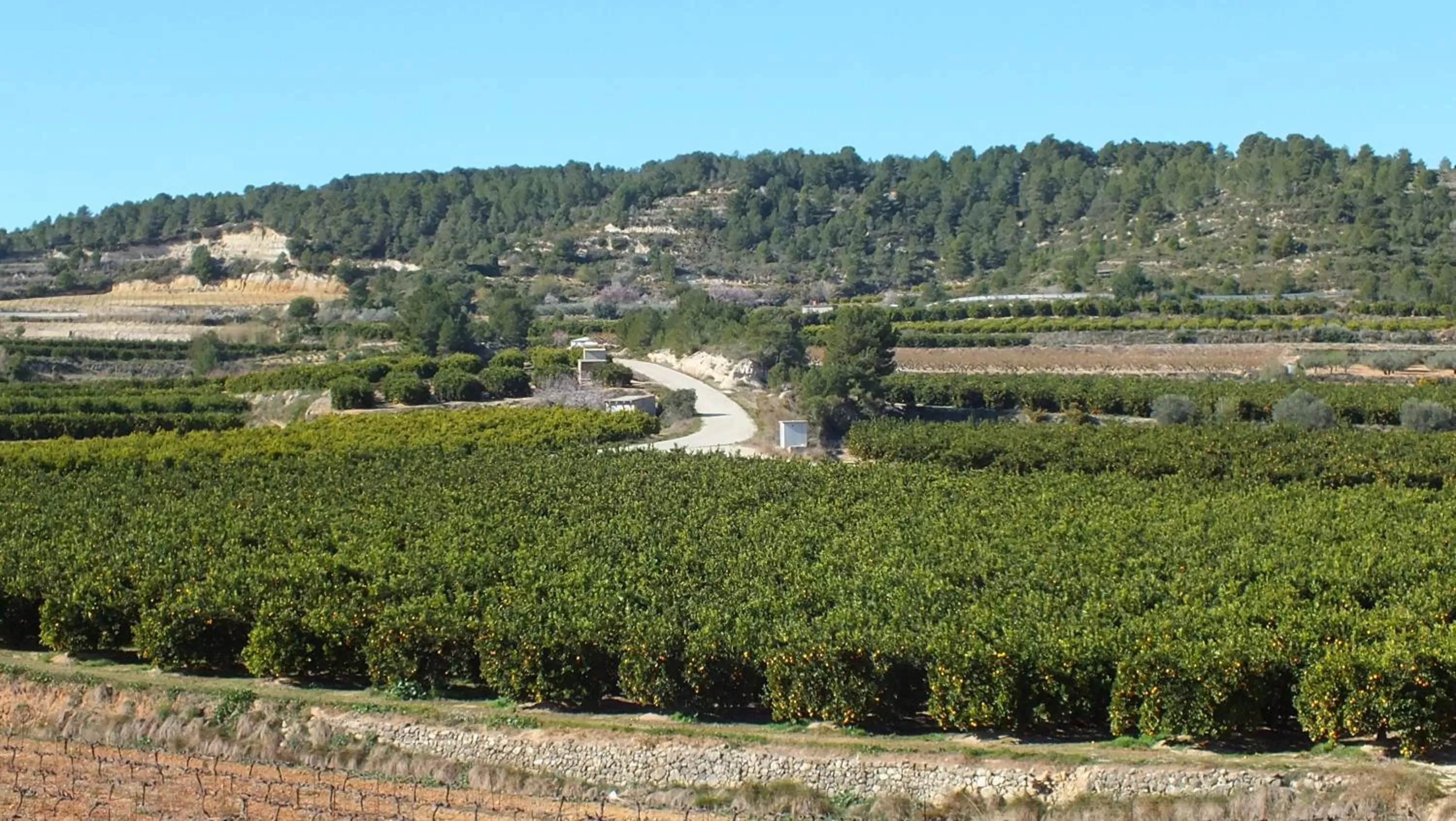 Natural landscape in Casa Robion