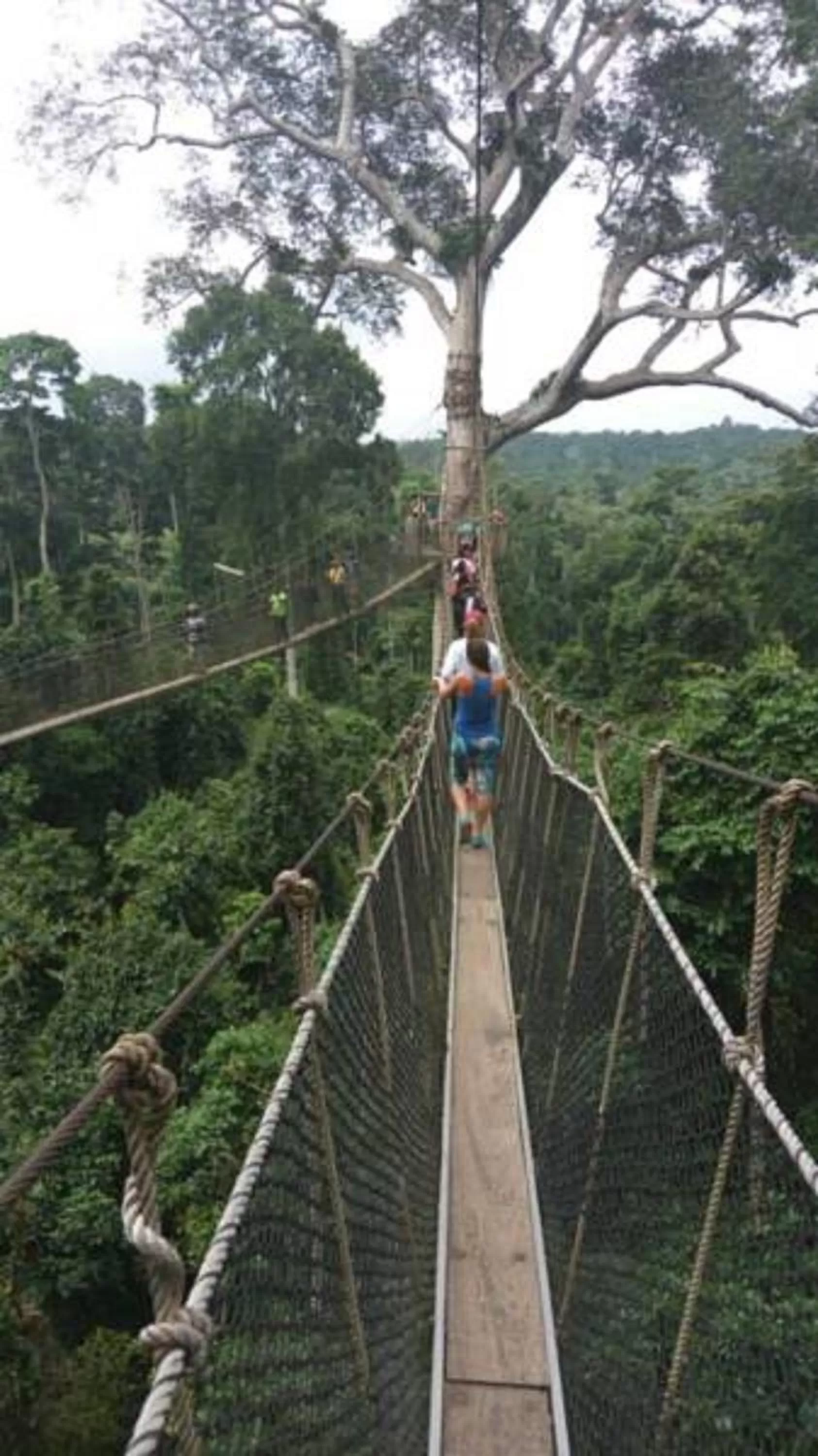 Hiking, Other Activities in Hans Cottage Botel