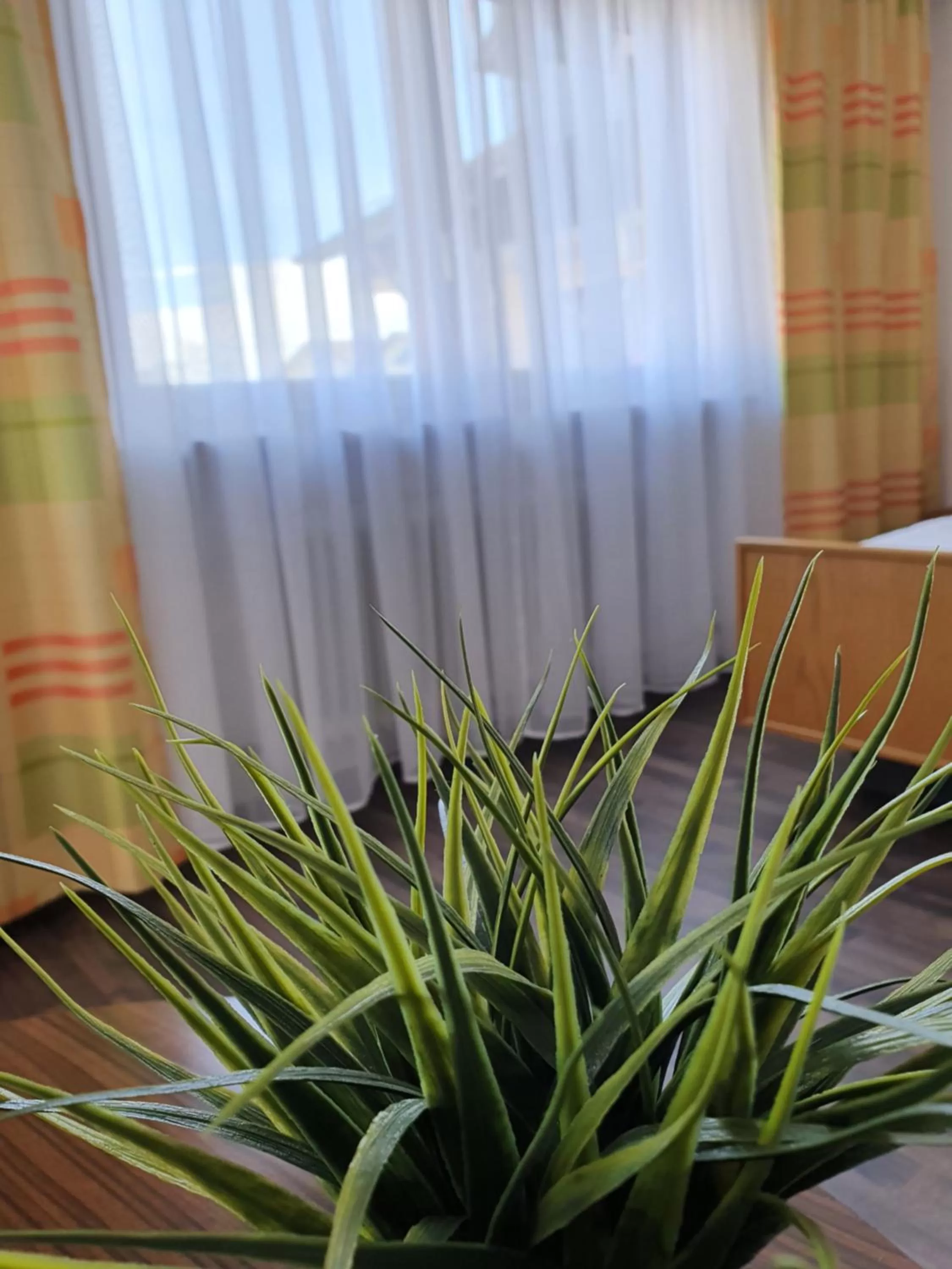 Photo of the whole room in Kurhotel Anders