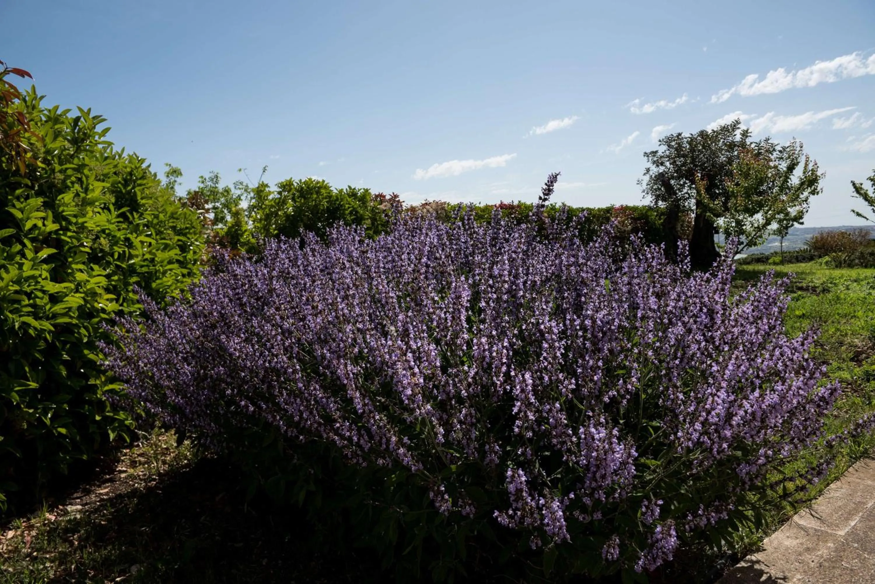 Property building in La Dimora di Spartivento - BW Signature Collection