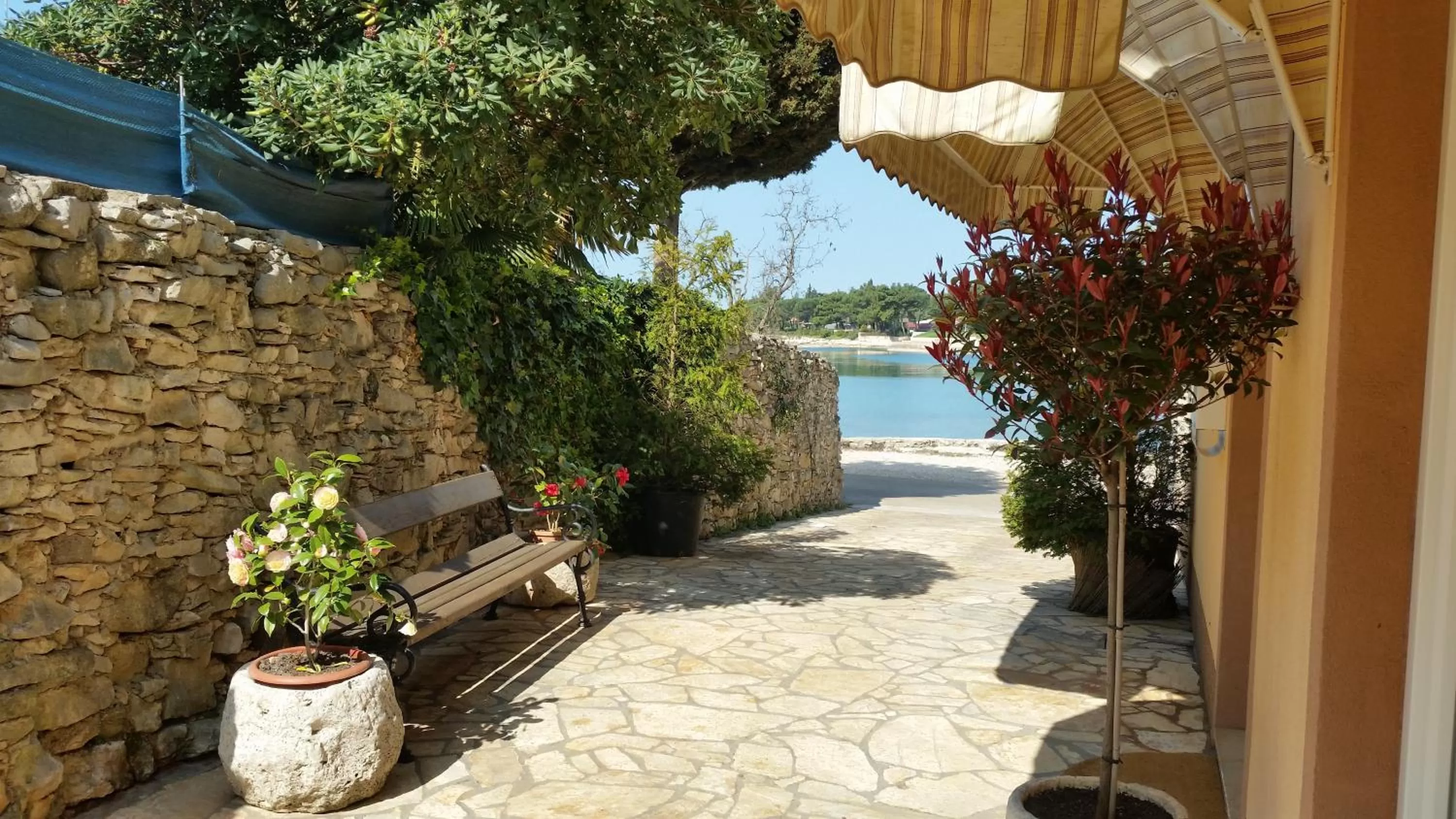 Area and facilities in Hotel Zlatna Vala