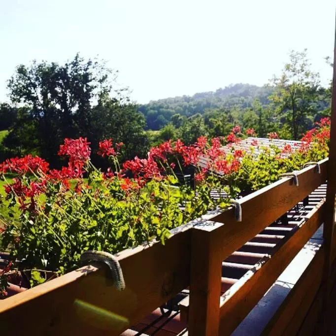 Balcony/Terrace in Ca' del Cuco