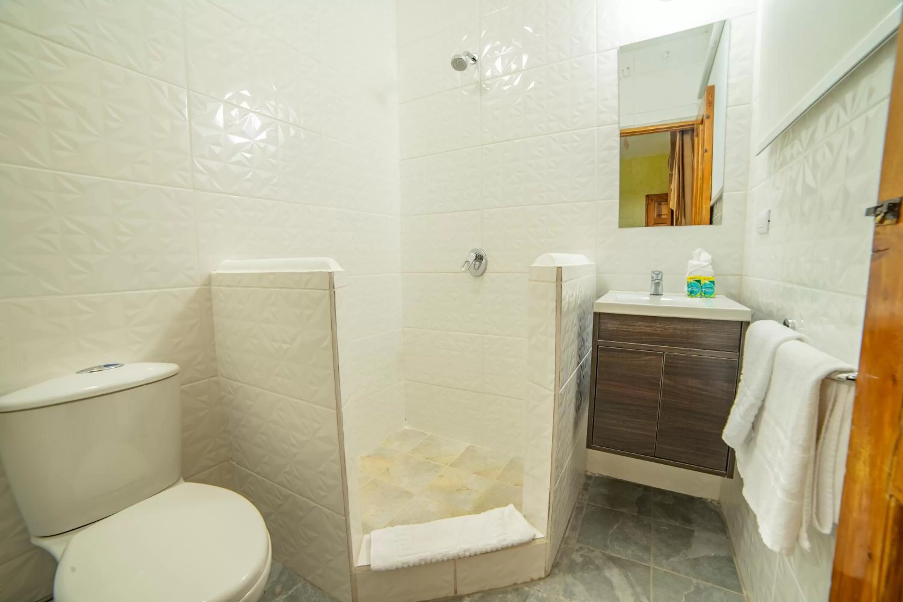 Bathroom in Hotel Palacio Chico 1948