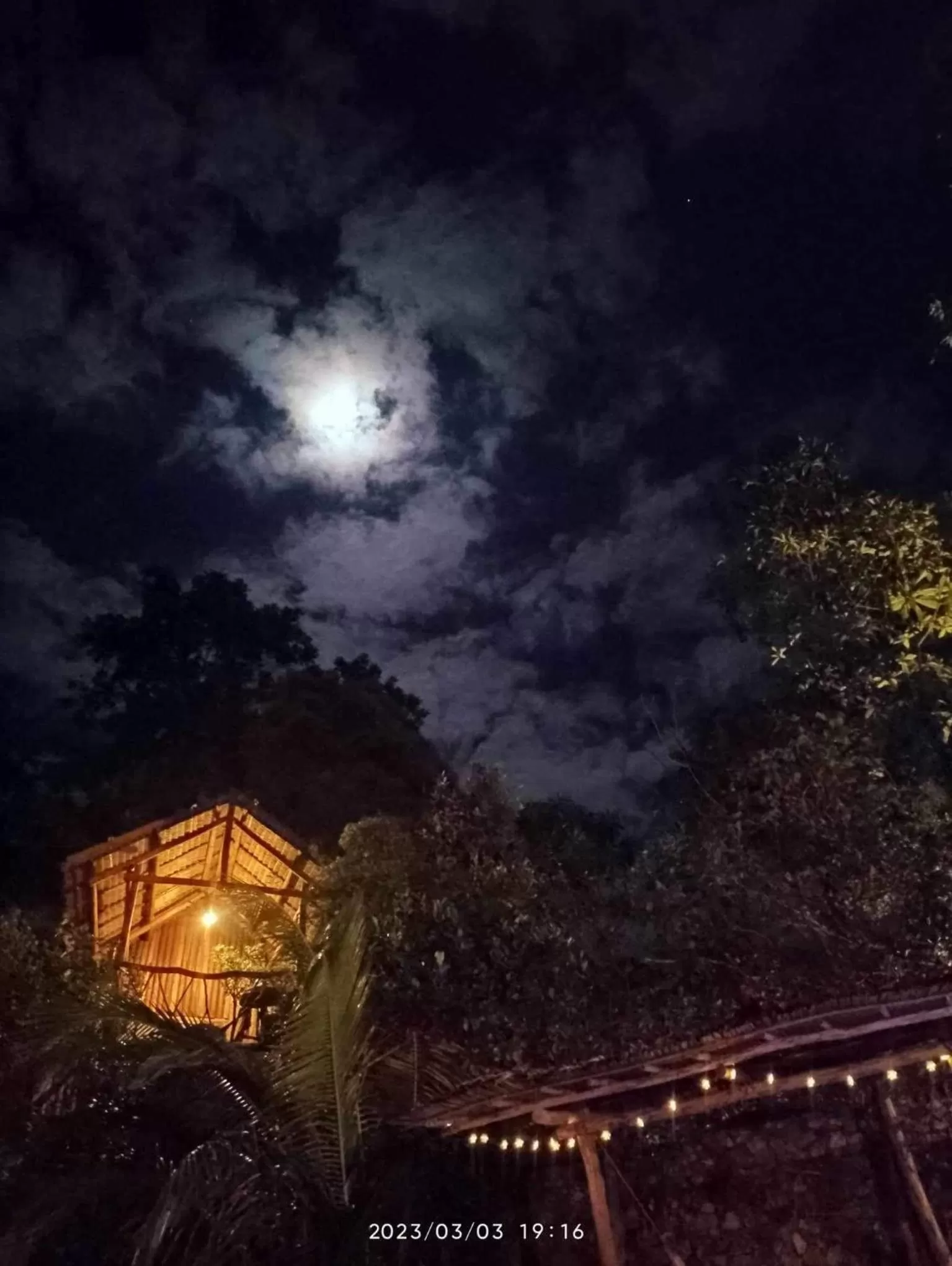 Sanctuaria Treehouses Busuanga