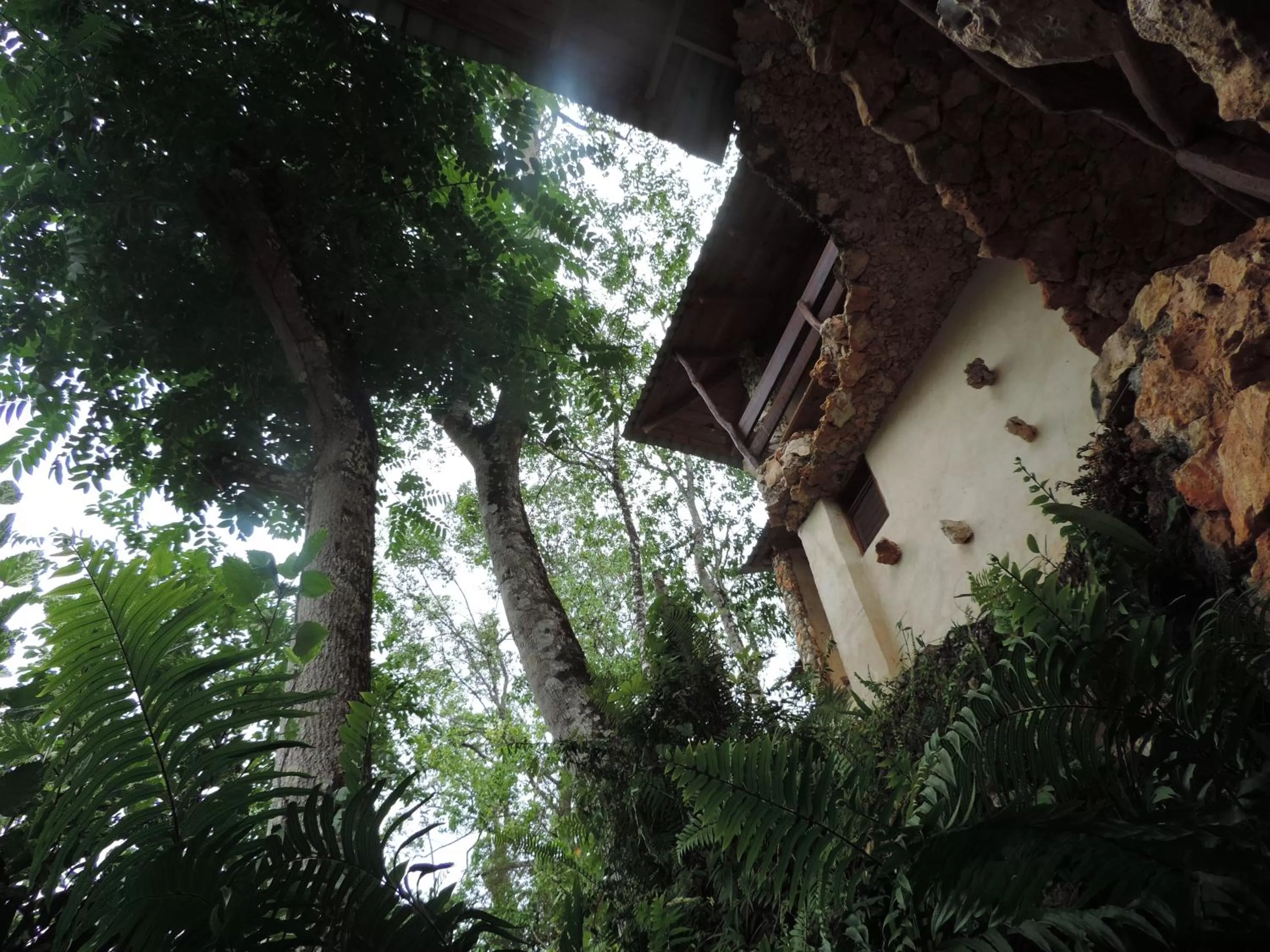Patio in Altos de Caño Hondo
