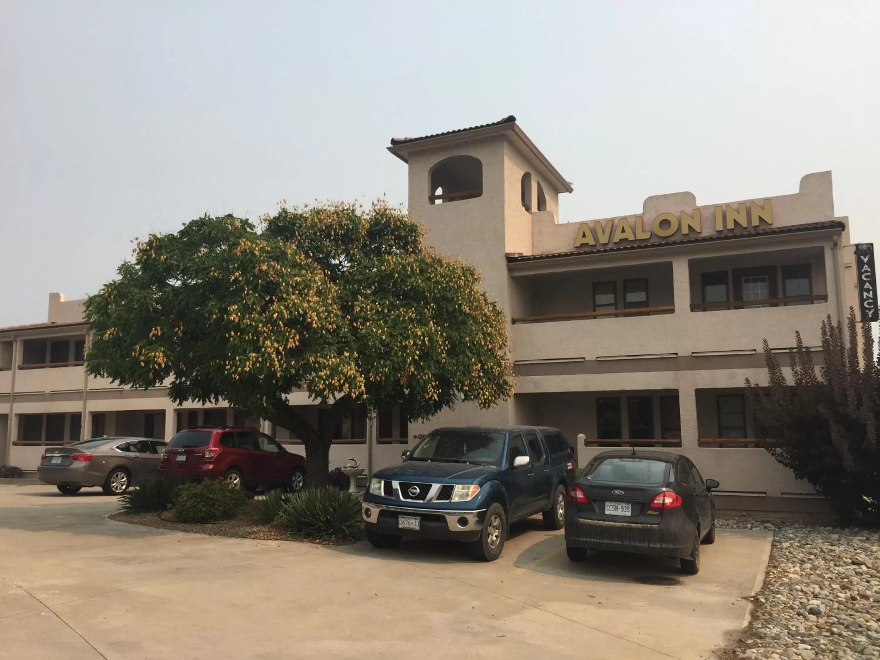 Property building in Avalon Inn