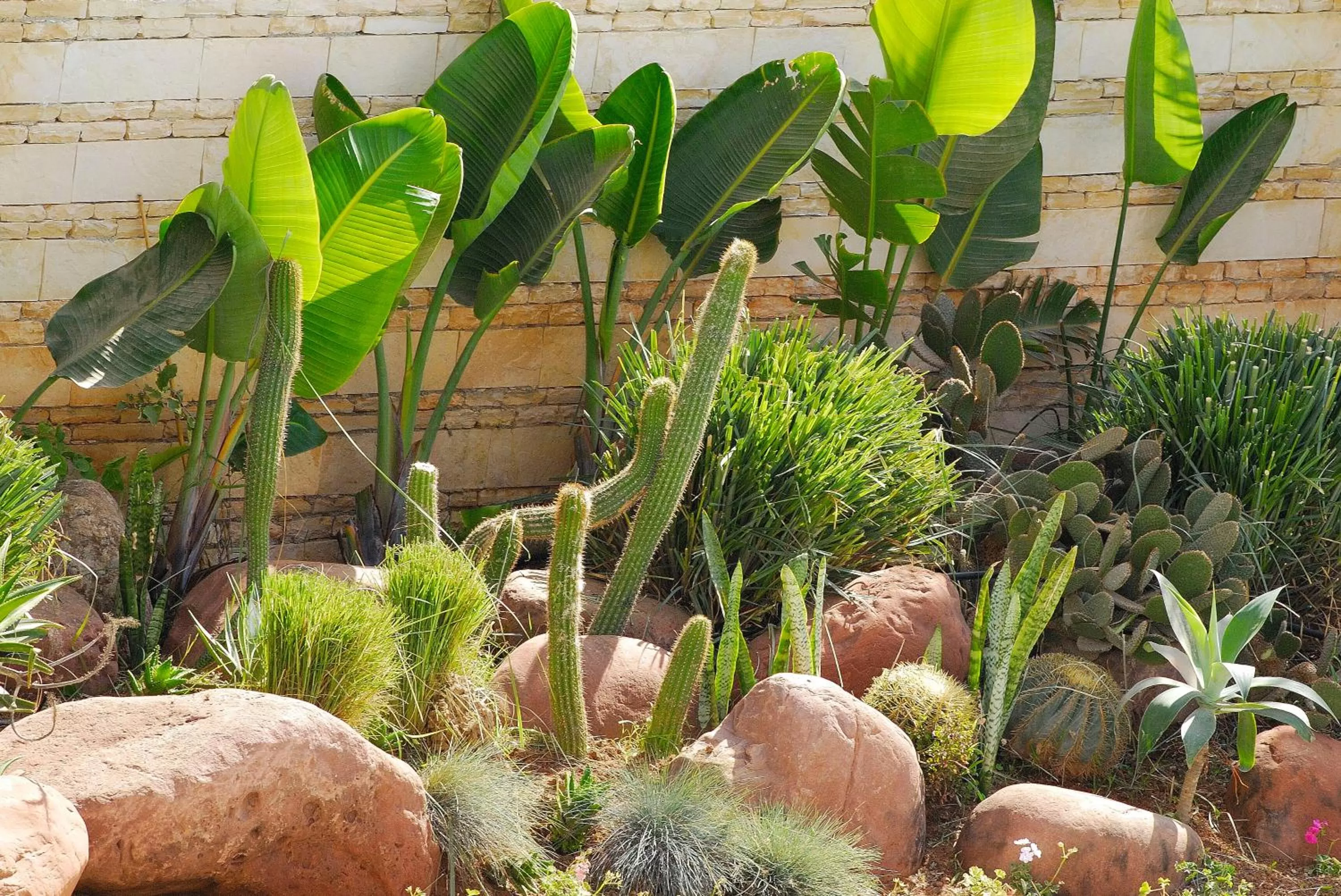 Natural landscape in Hotel Timoulay and Spa Agadir