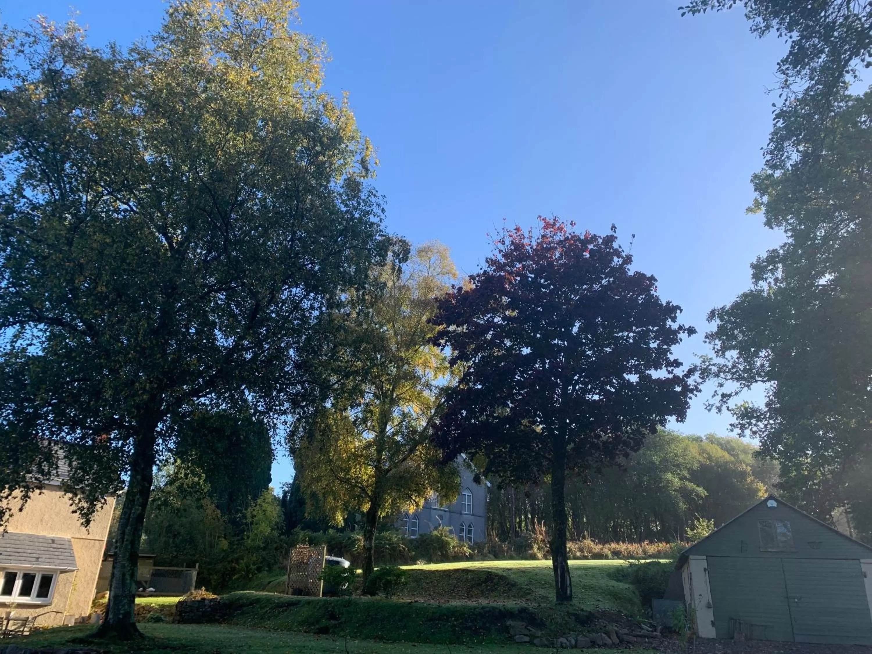 Natural landscape, Garden in Efail Y Garn