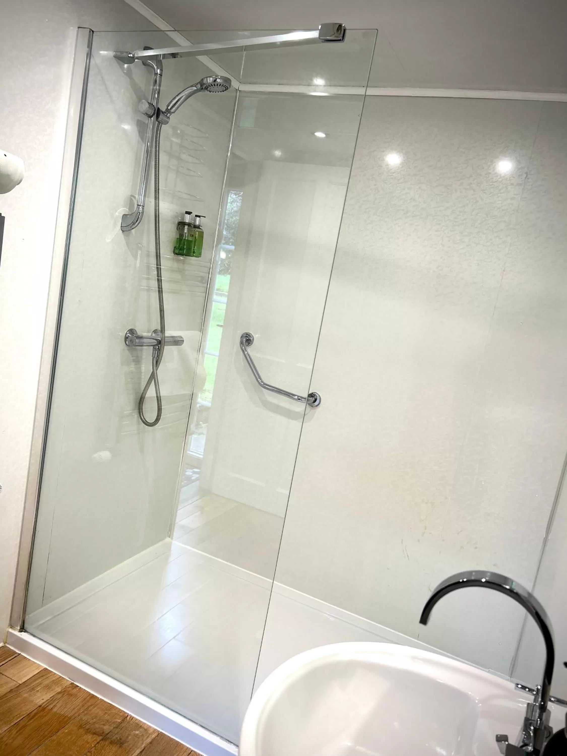 Shower in Royal Oak Appleby