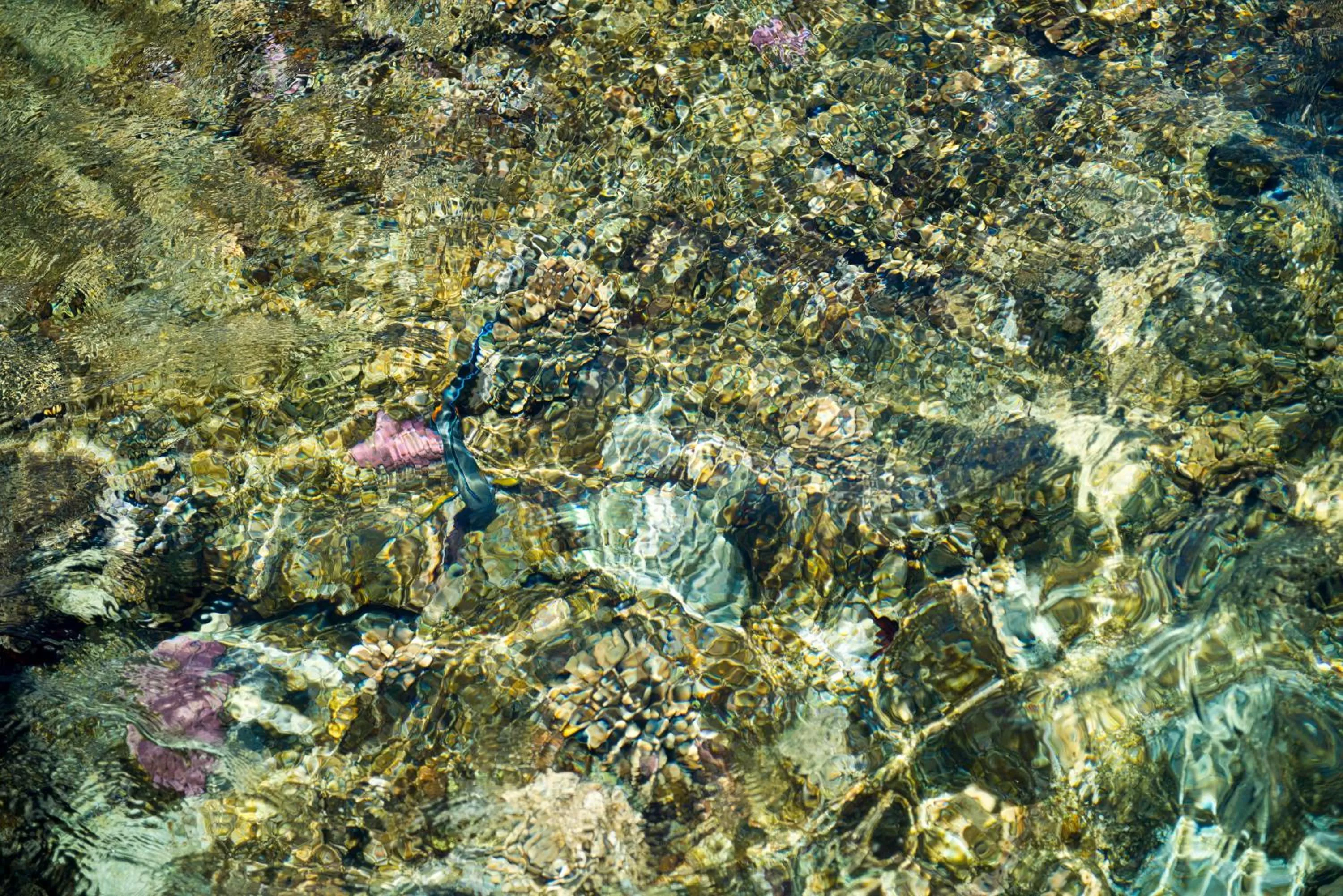 Natural landscape in Amphoras Beach - Ultra All Inclusive