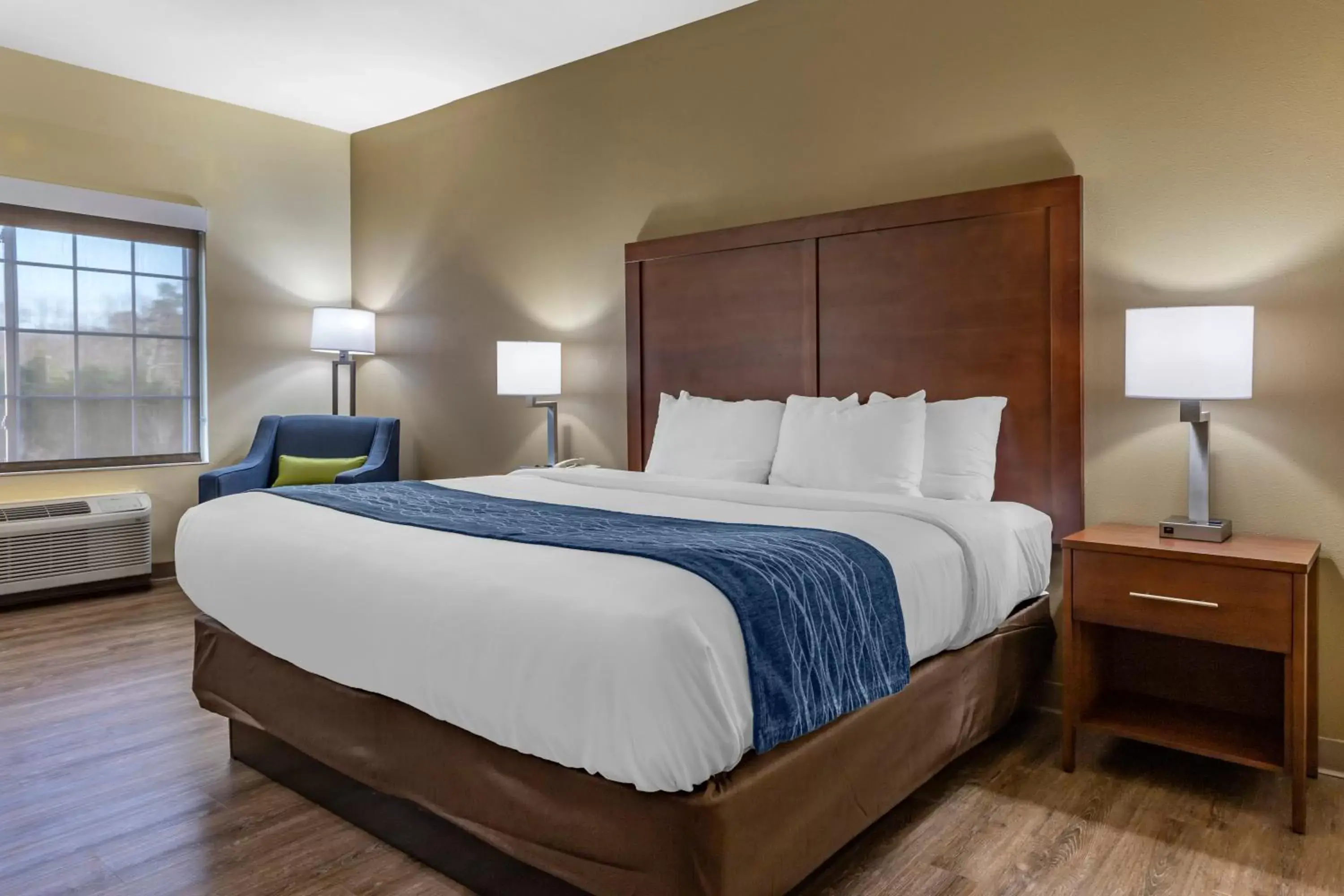Standard King Room - Non-Smoking in Comfort Inn & Suites High Point - Archdale Standard King Room - Non-Smoking in Comfort Inn & Suites High Point - Archdale