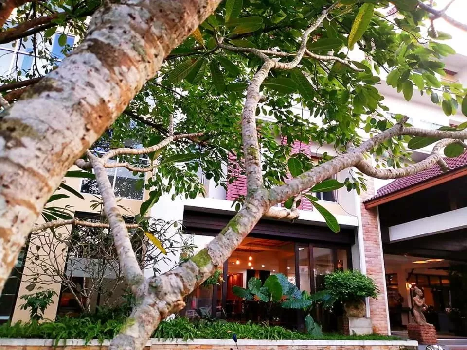 Property building in Nana Buri Hotel