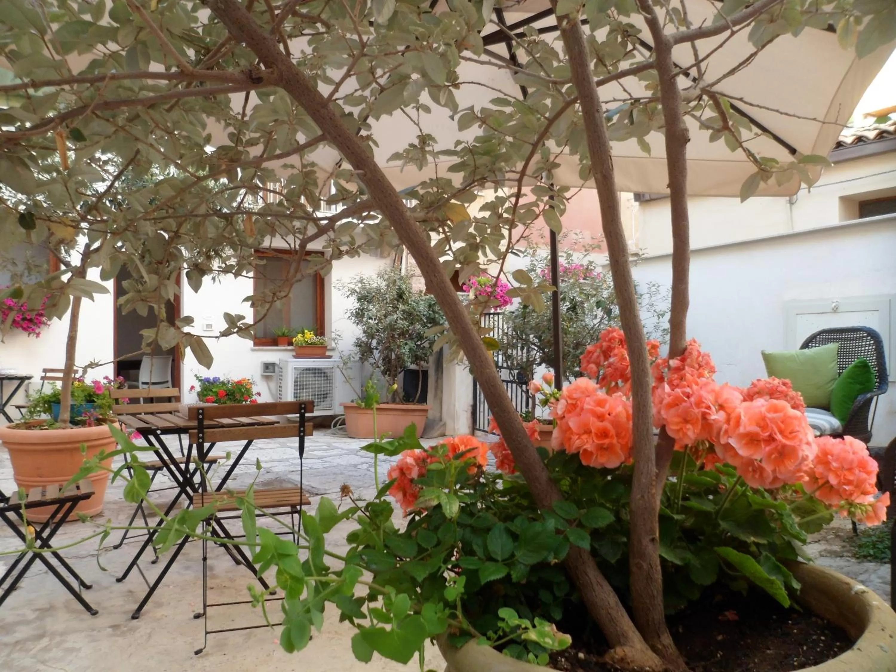 Garden in Cortile Antico